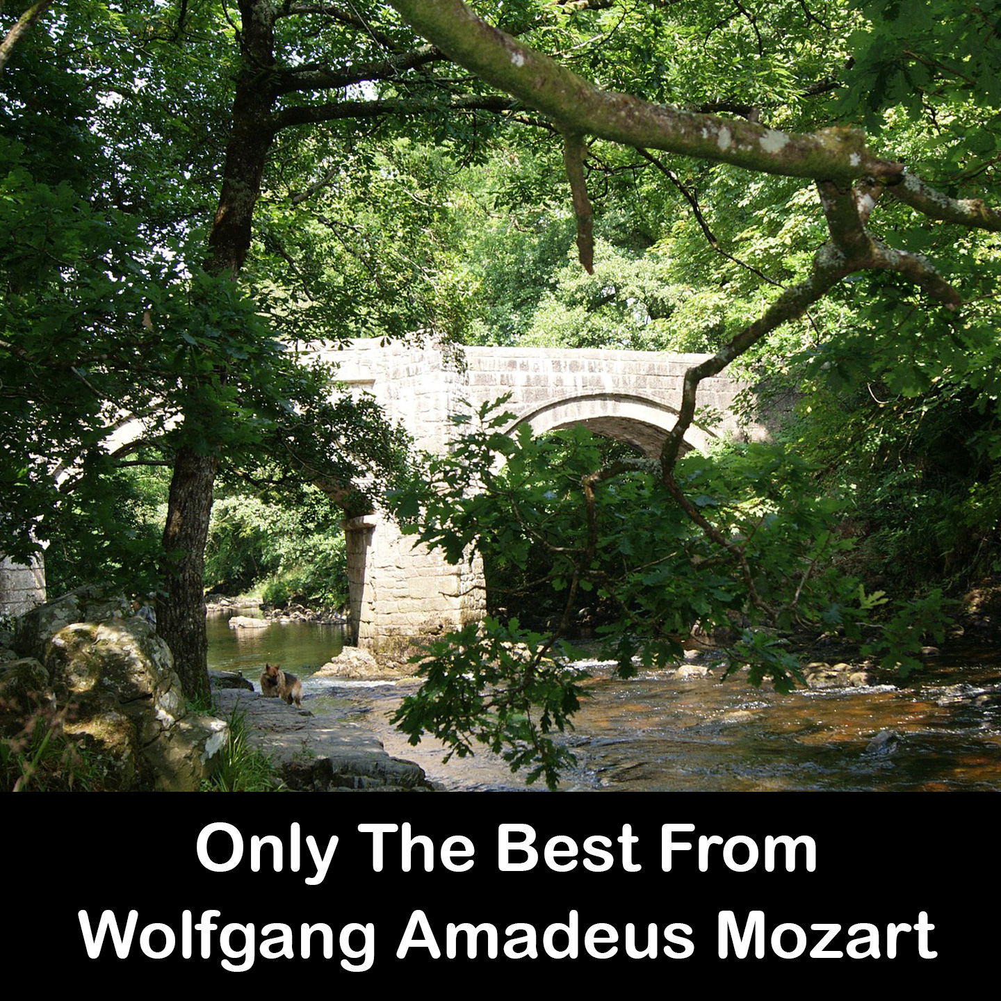 Only The Best From Wolfgang Amadeus Mozart