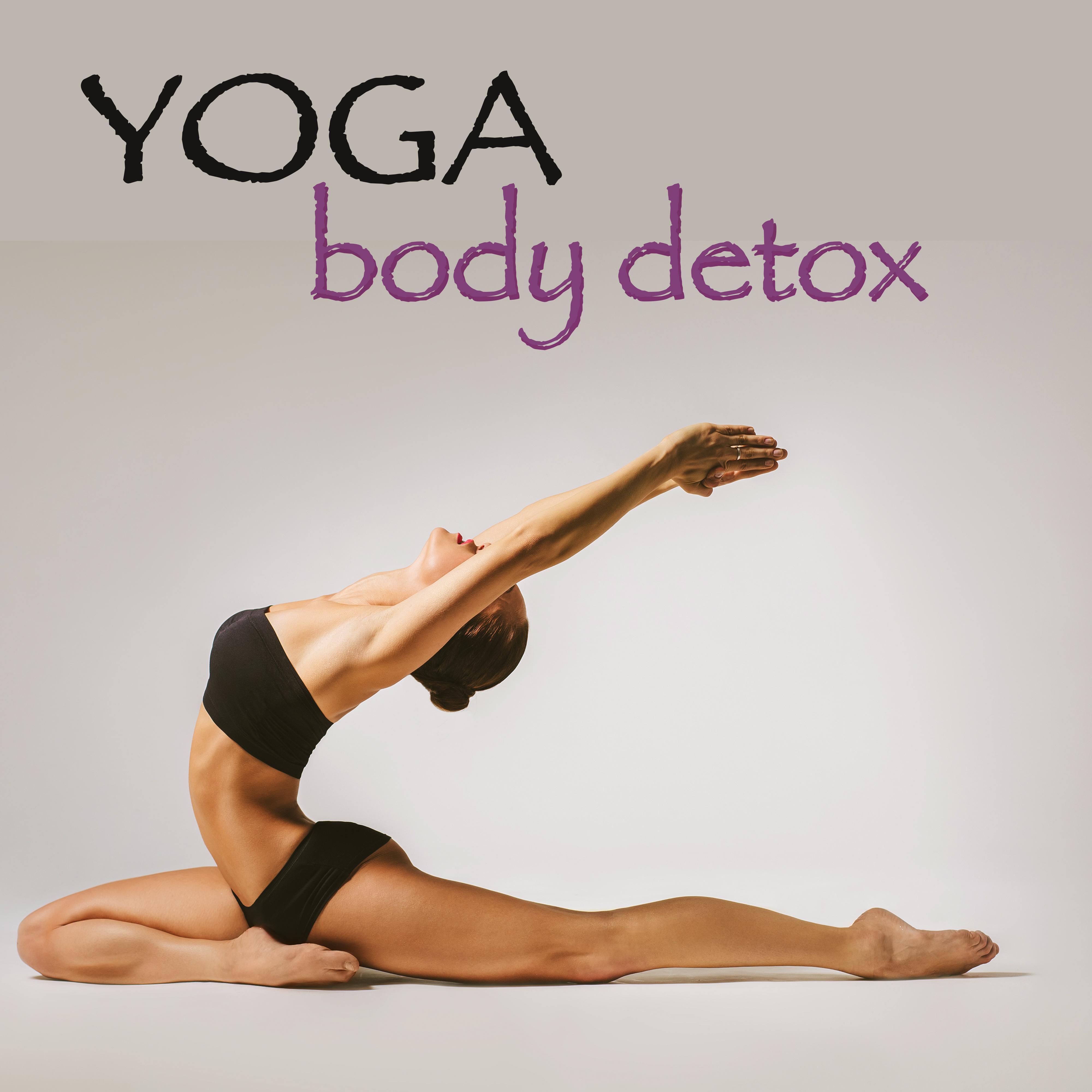 Yoga Body Detox  Ambient Lounge  New Age Music for Yoga  Holistic Health