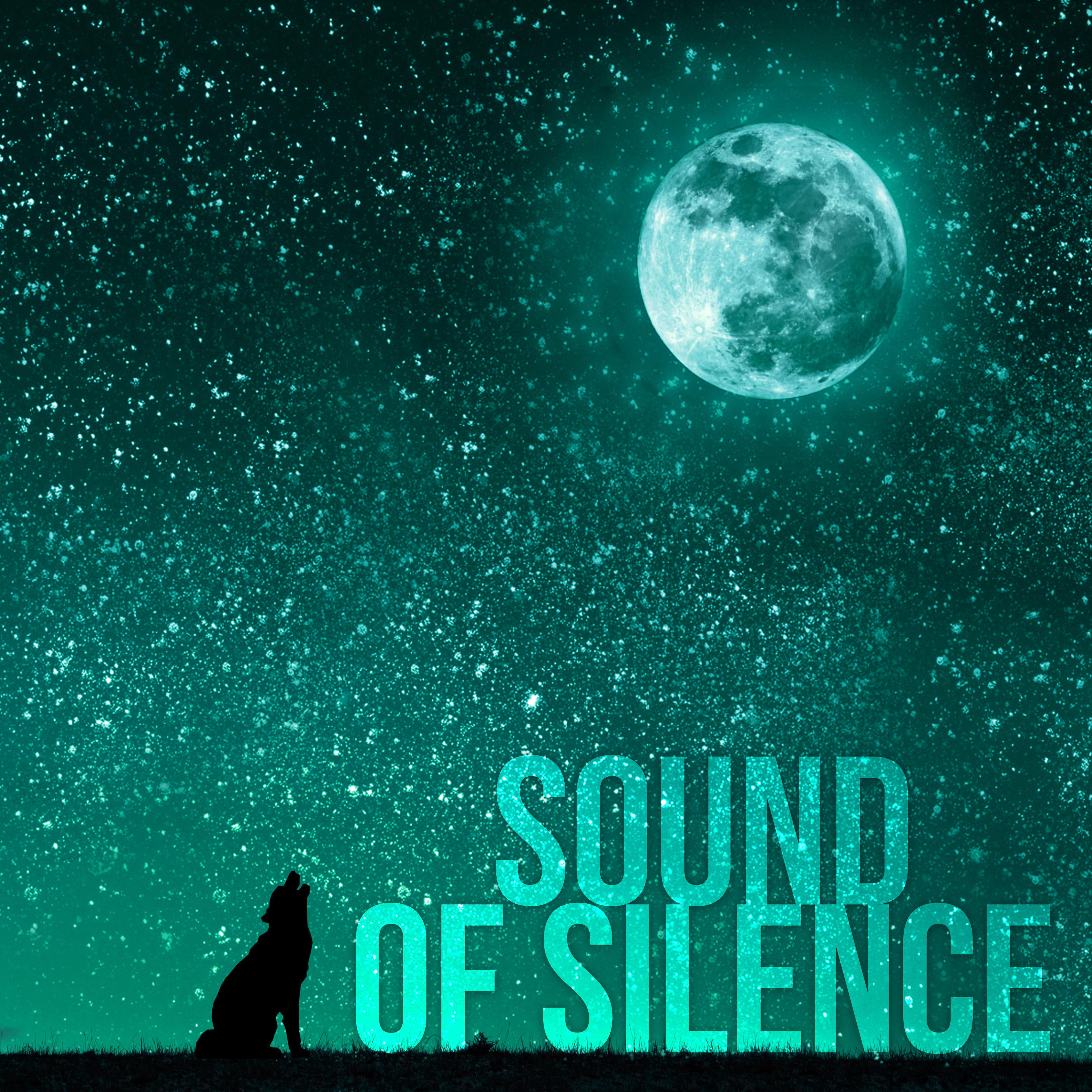 Sound of Silence - Sleeping Music for Babies and Infants, New Age Soothing Sounds for Newborns to Relax