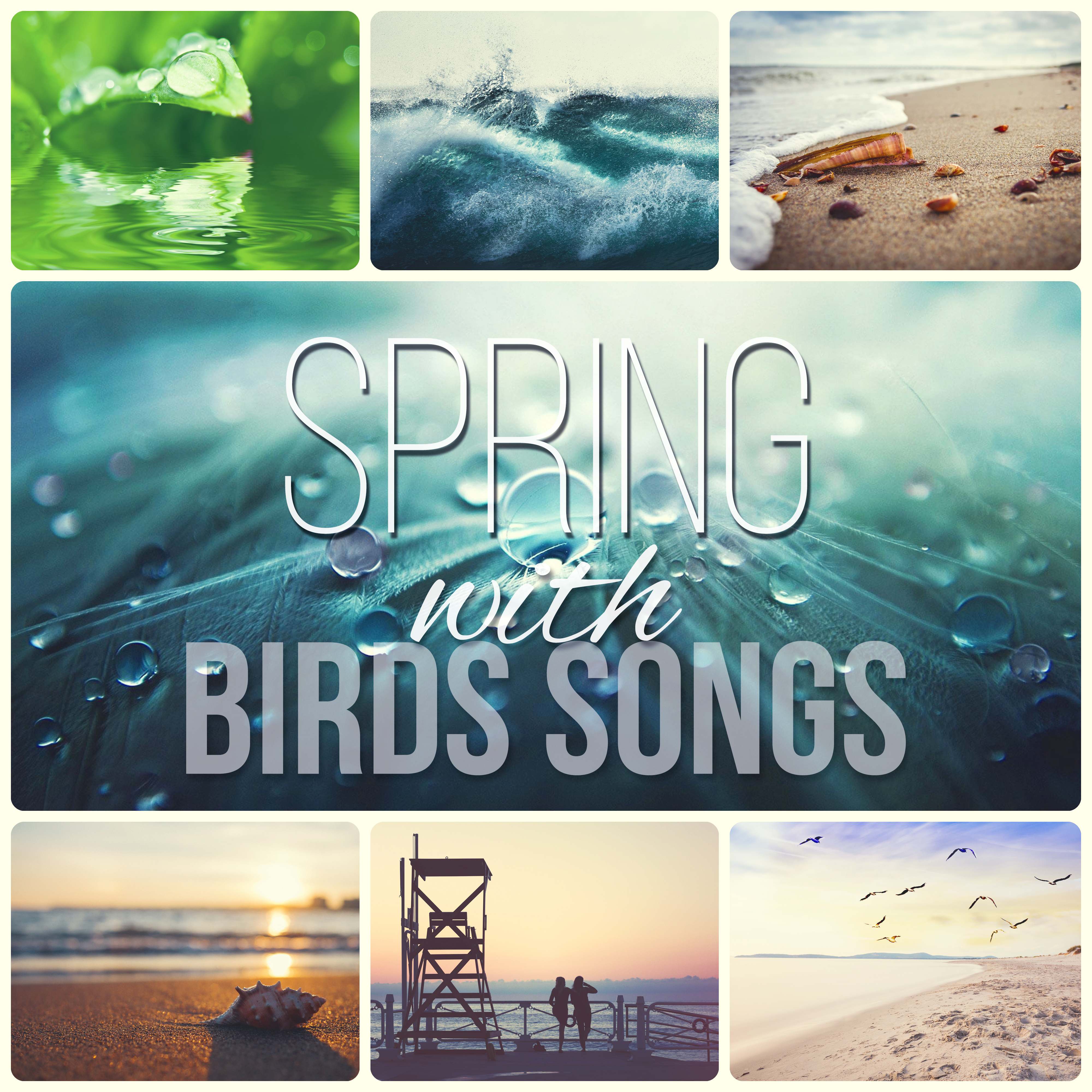 Spring with Birds Songs  Amazing Sound Effects of Birds, Forest Ambience, Morning Bird Calls for Relaxation