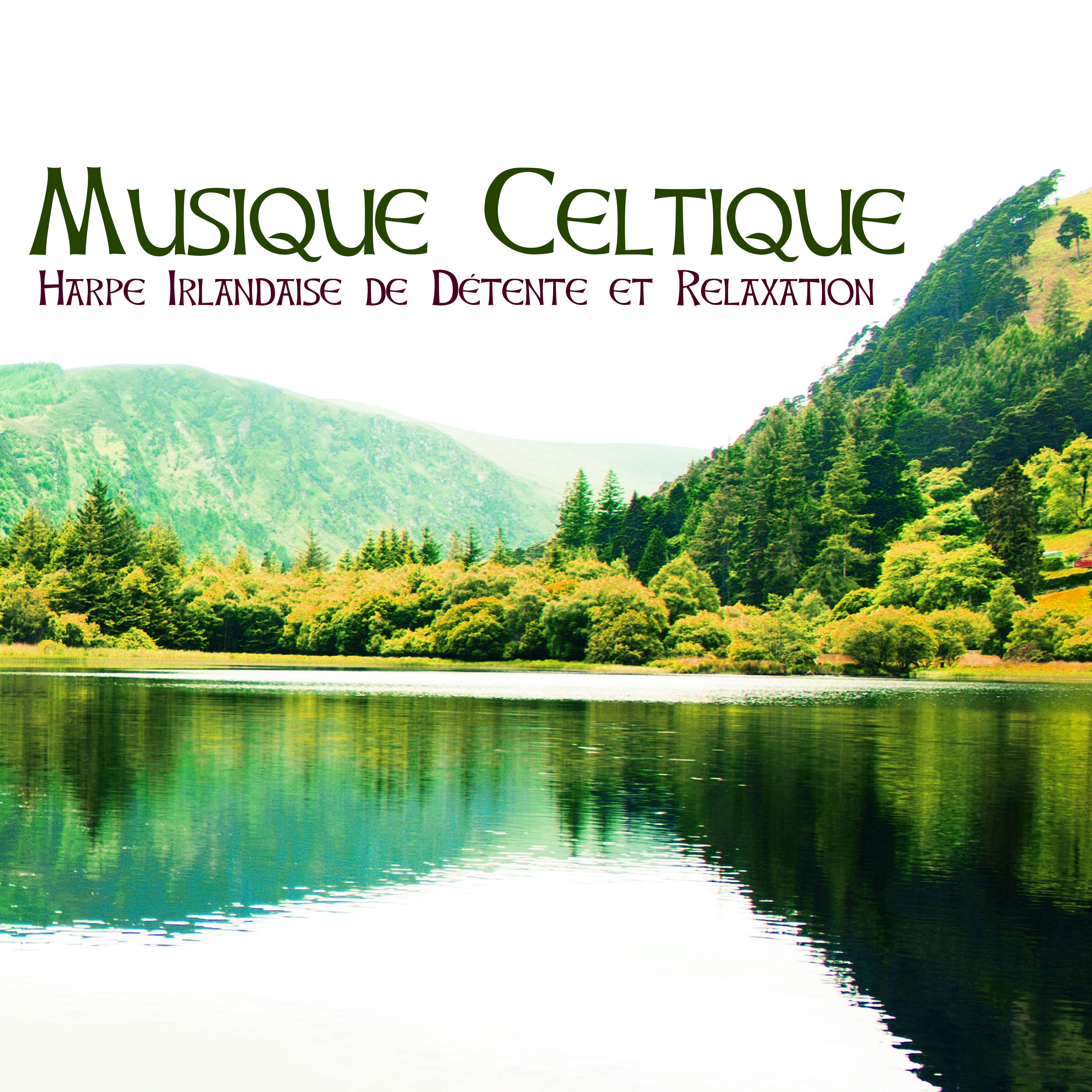 Musique Celtique  Harpe Irlandaise de De tente et Relaxation