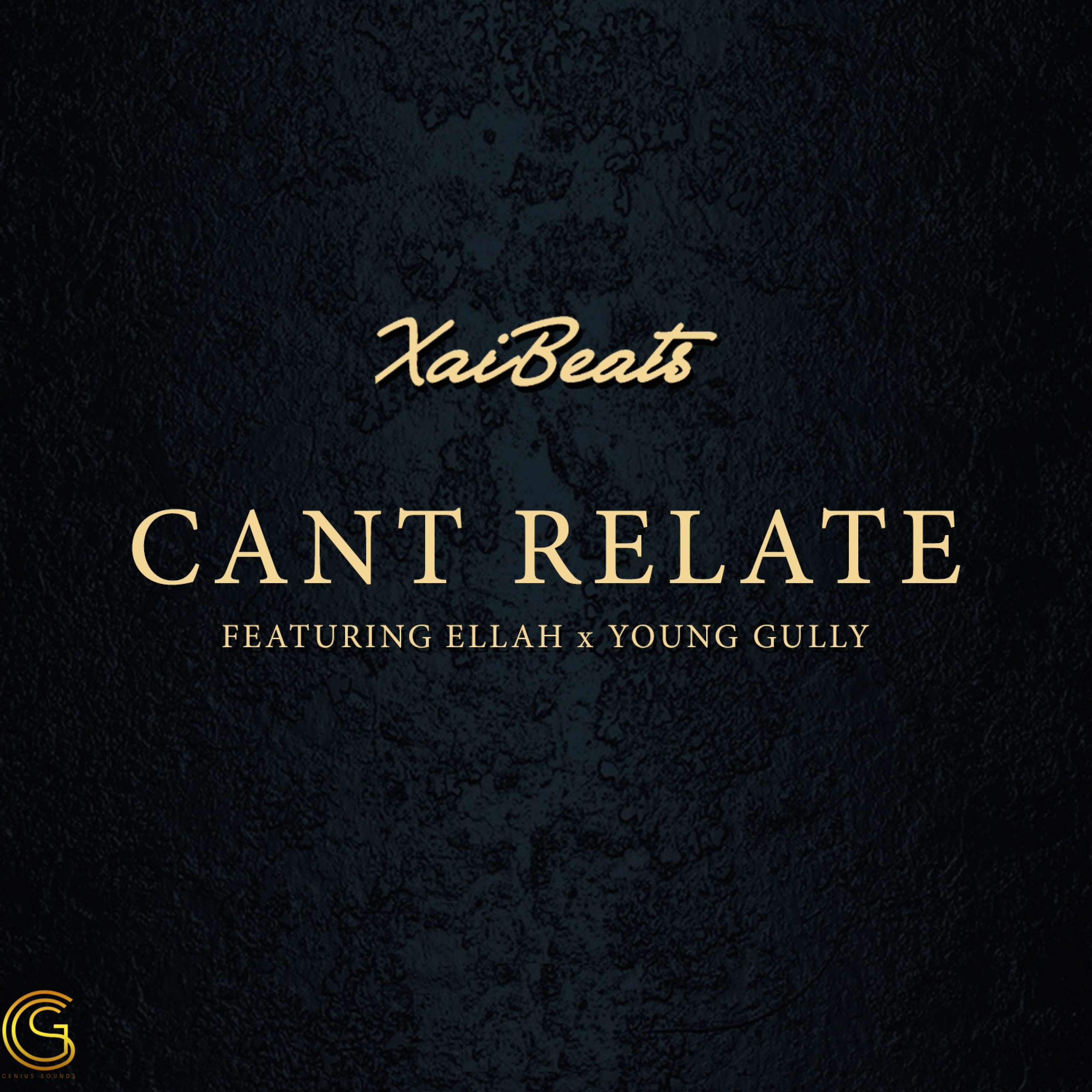 Can't Relate (feat. Ellah & Young Gully)