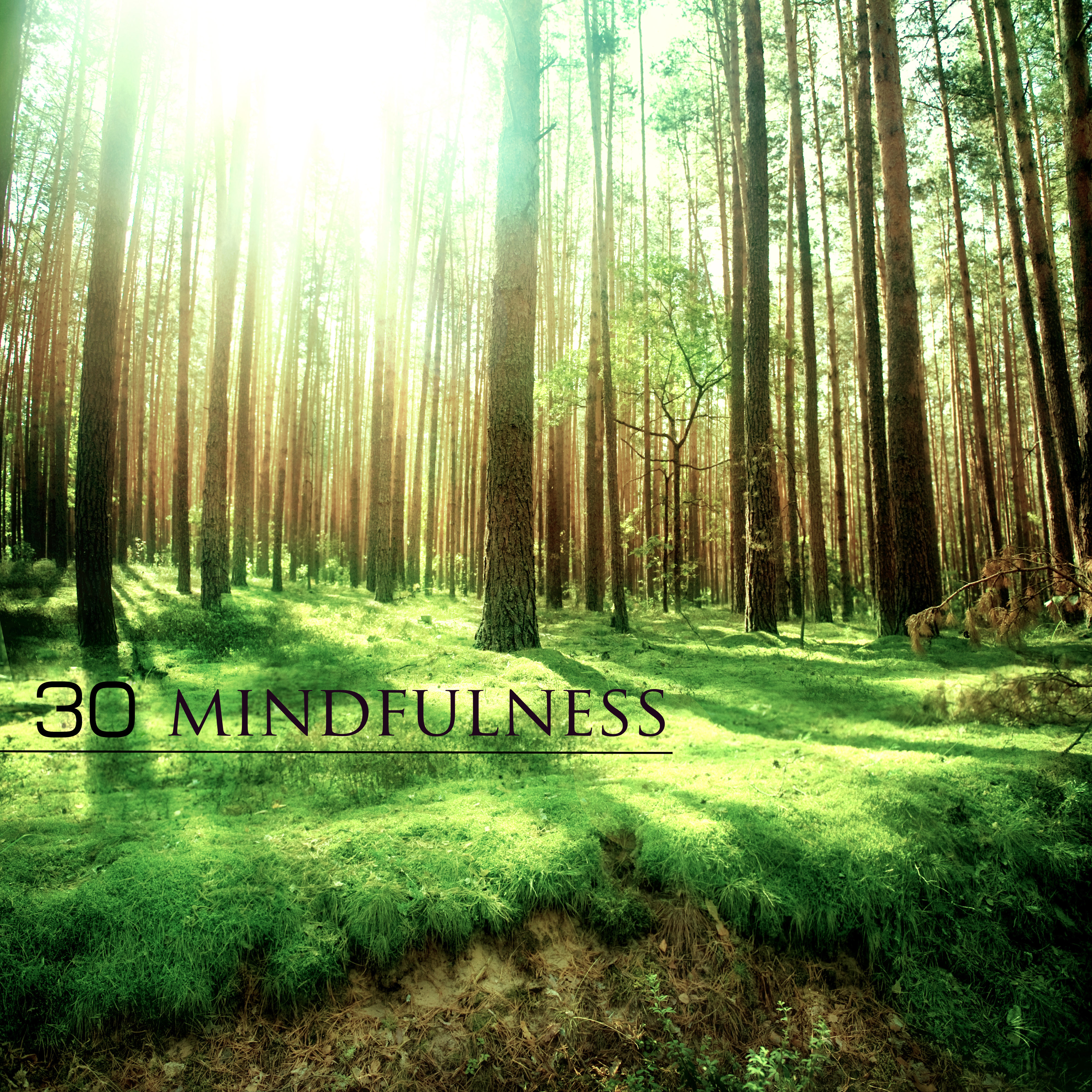 Growing Mindfulness with Meditative Music