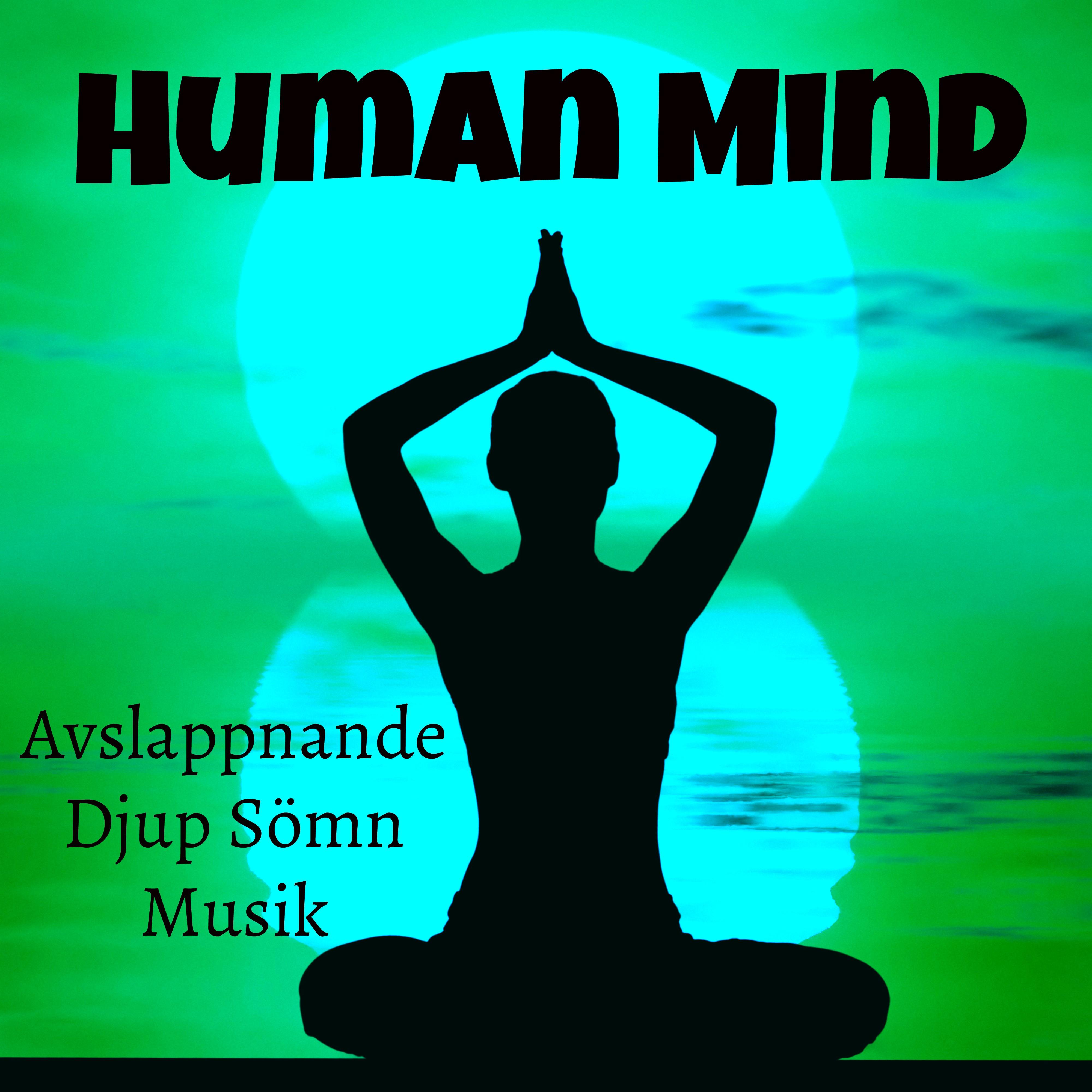 Human Mind  Avslappnande Djup S mn Musik f r Andlig Healing Yogateknik med Instrumental Lugn Ljud