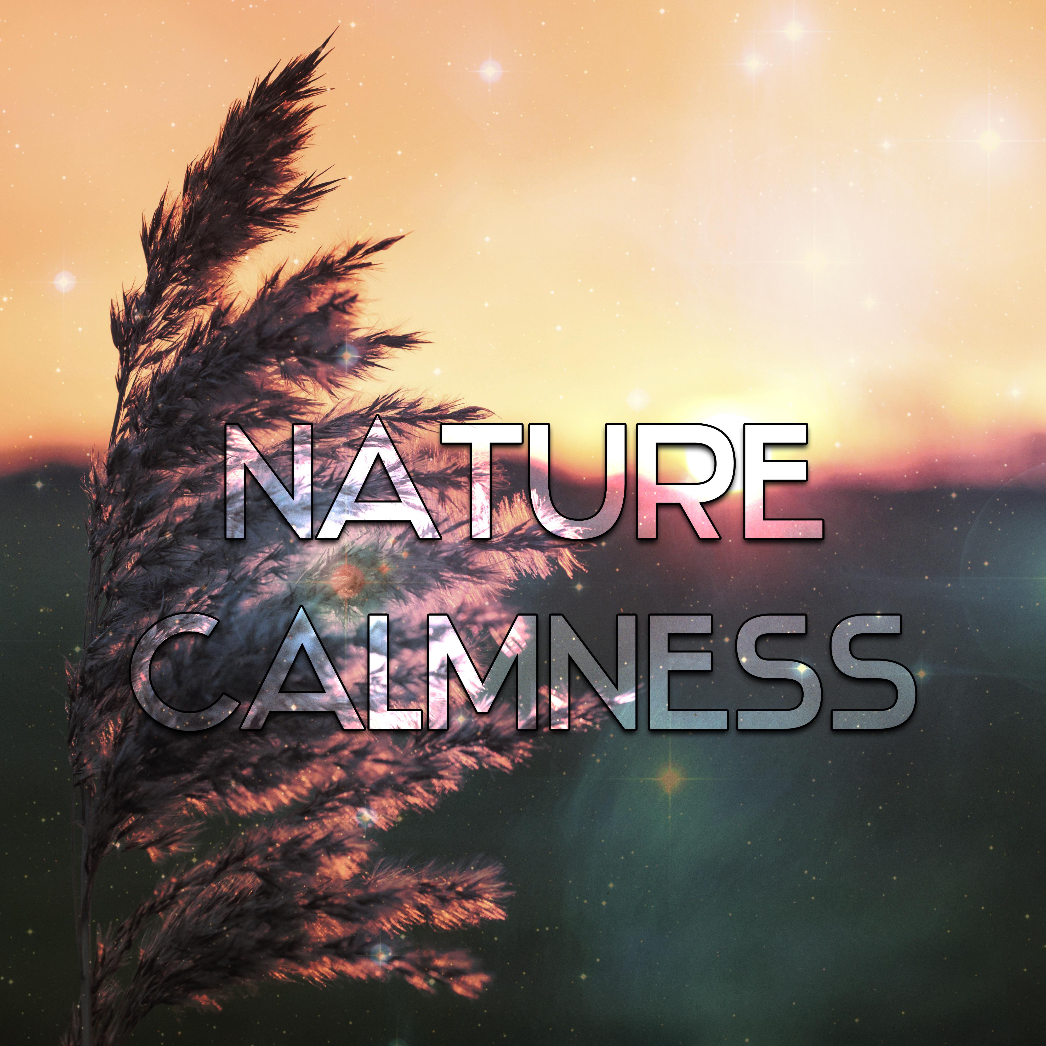 Nature Calmness  Soothing Waves, Stress Relief, Inner Silence, Spirit Harmony, Nature Relaxation