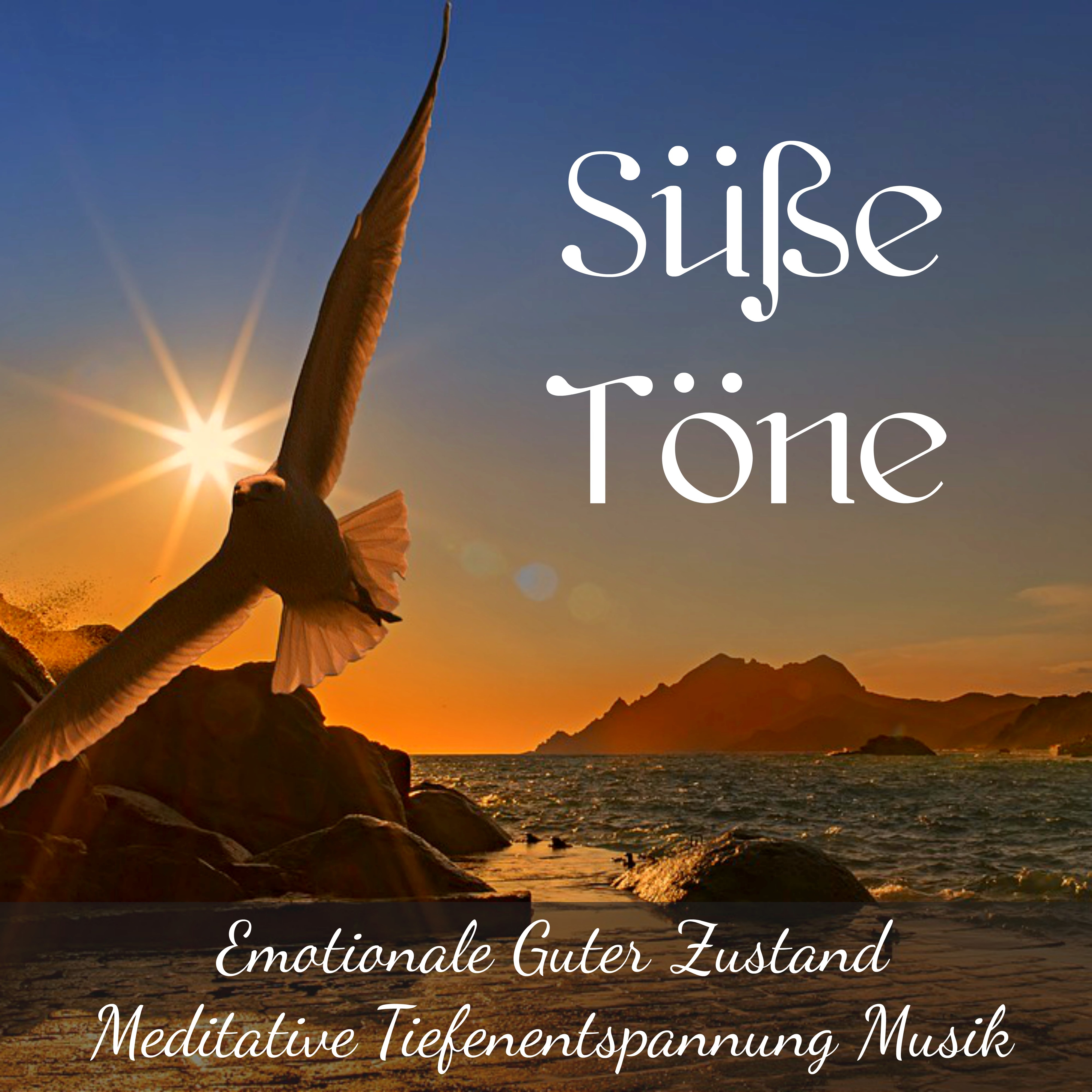 Sü e T ne  Emotionale Guter Zustand Meditative Tiefenentspannung Musik mit Beruhigende New Age Instrumental Ger usche