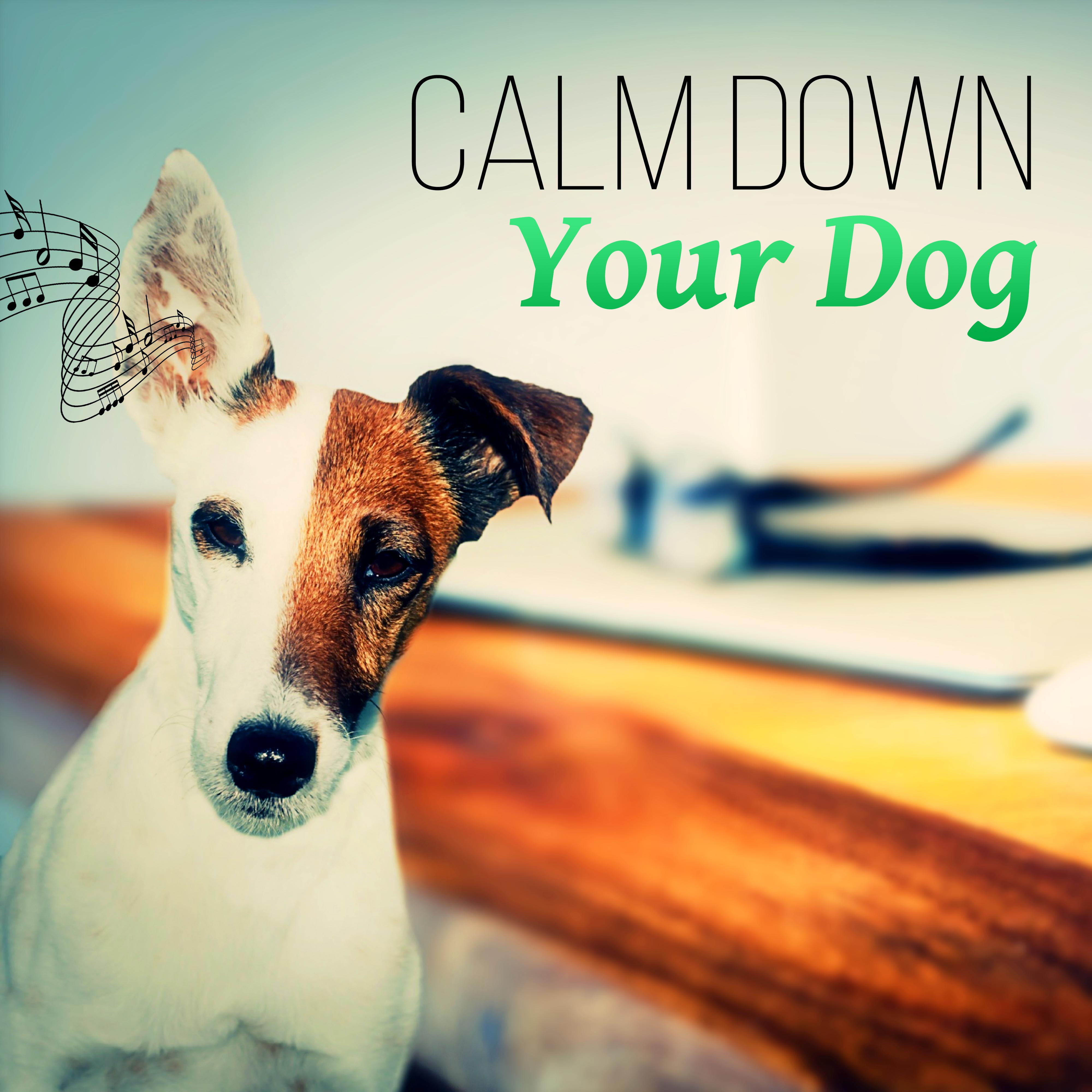 Calm Down Your Dog  Music Therapy for Dogs, Relaxation and Serenity, Destress, Wellness, Peace, Deep Sleep