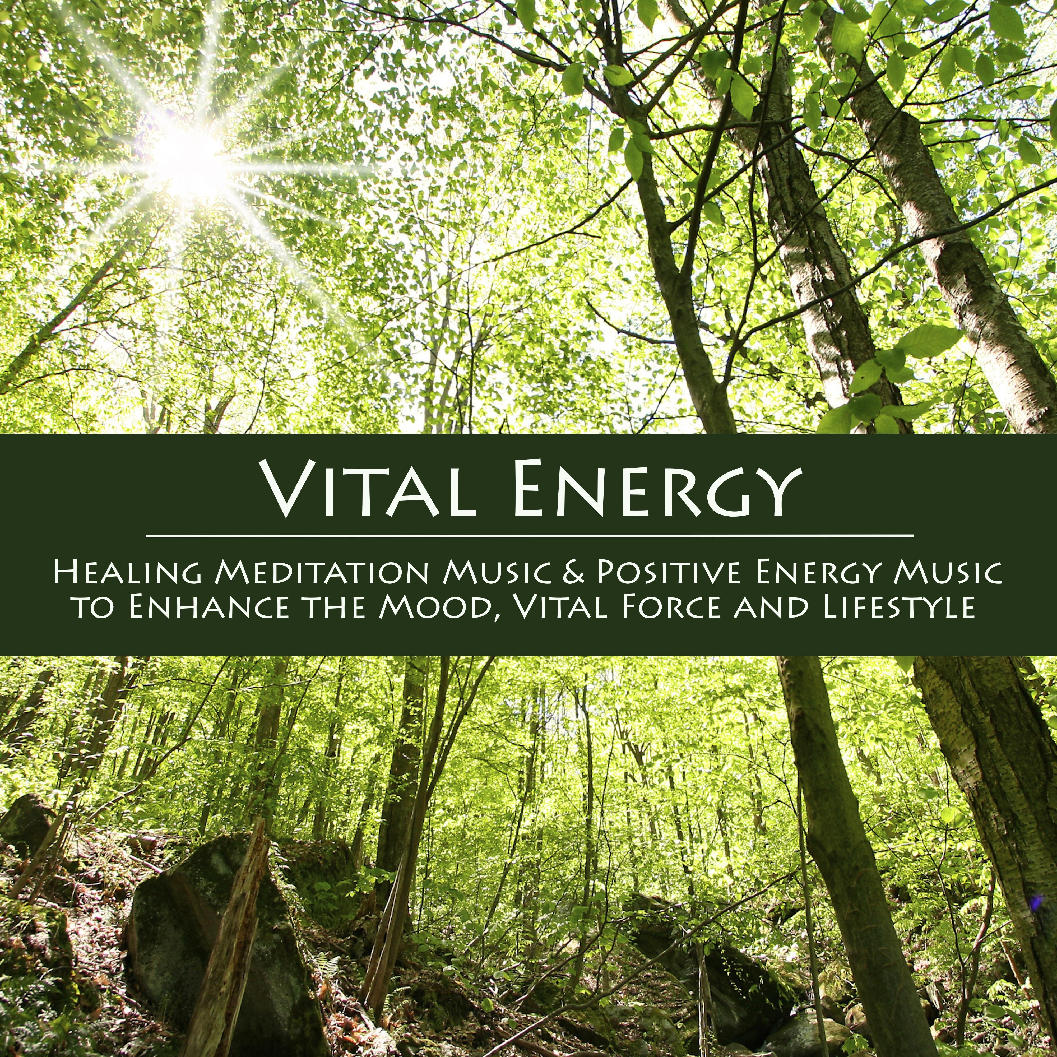 Vital Energy - Healing Meditation Music & Positive Energy Music to Enhance the Mood, Vital Force and Lifestyle