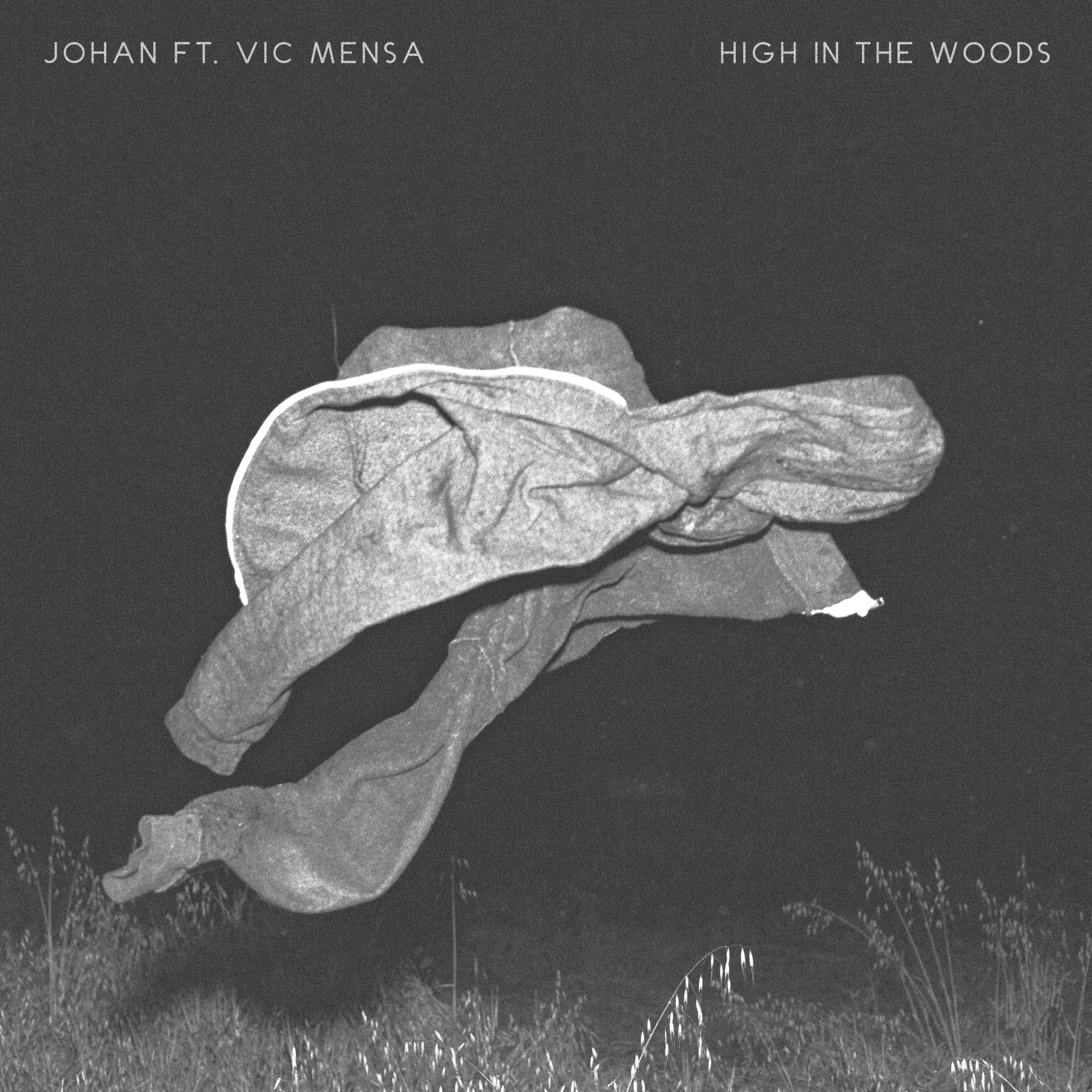 High in the Woods (feat. Vic Mensa)