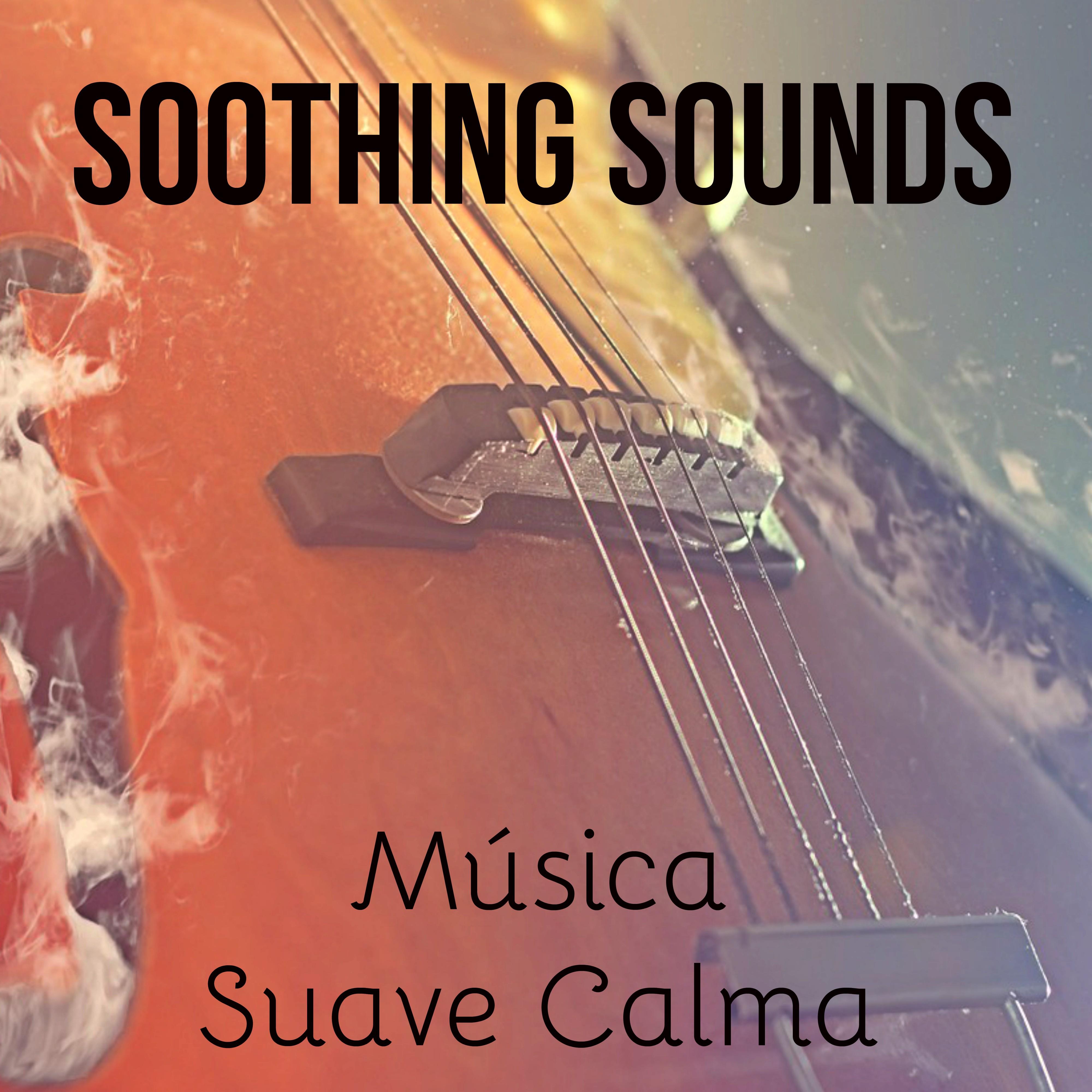 Soothing Sounds  Mu sica Suave Calma para Treinar a Concentra o Aprender Reiki Chakras Espirituais con Sons Instrumentais de Medita o