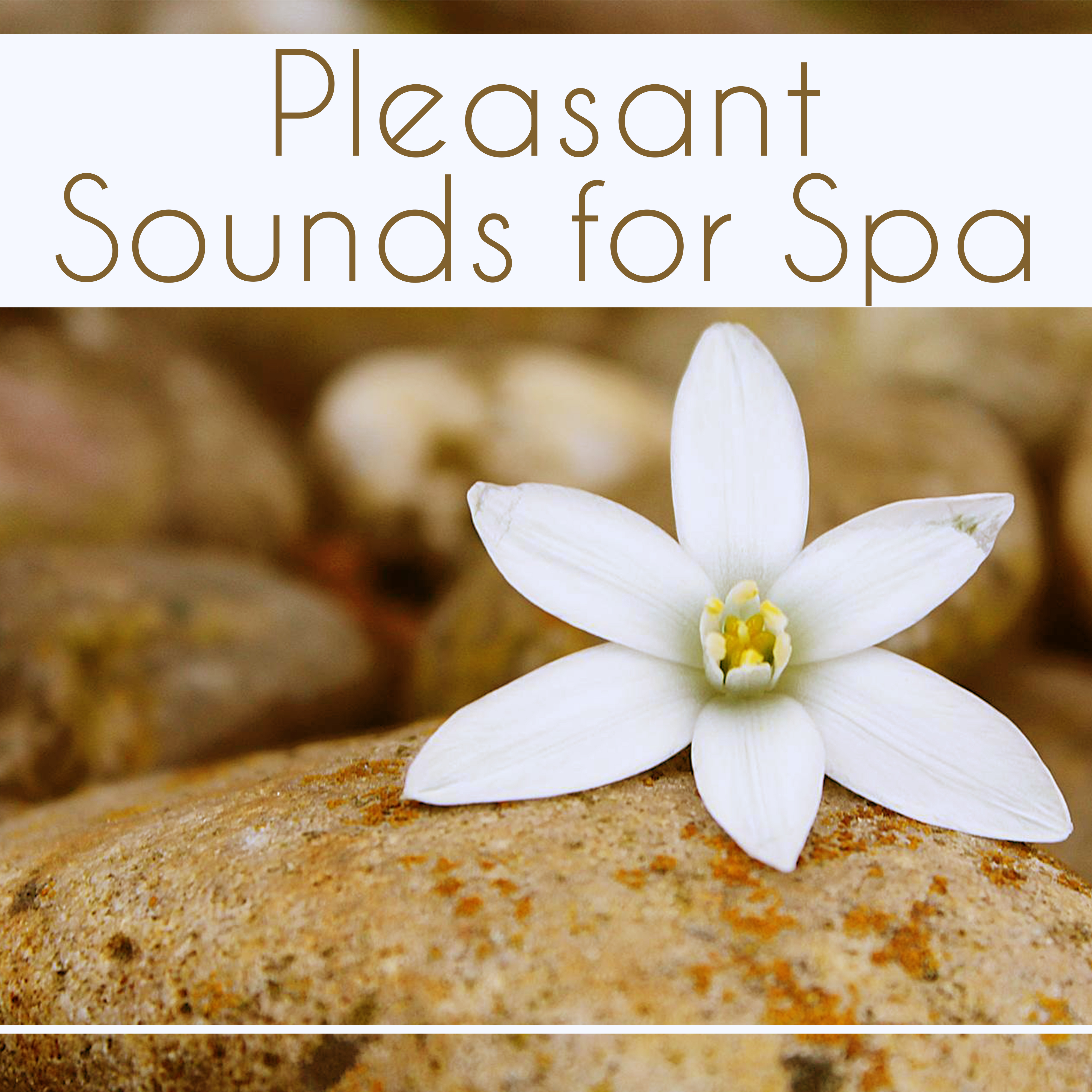 Pleasant Sounds for Spa  Nature Sounds for Relaxation, Deep Massage, Singing Birds, Relaxing Waves, Meditation Spa, Music for Wellness, Calming Melodies