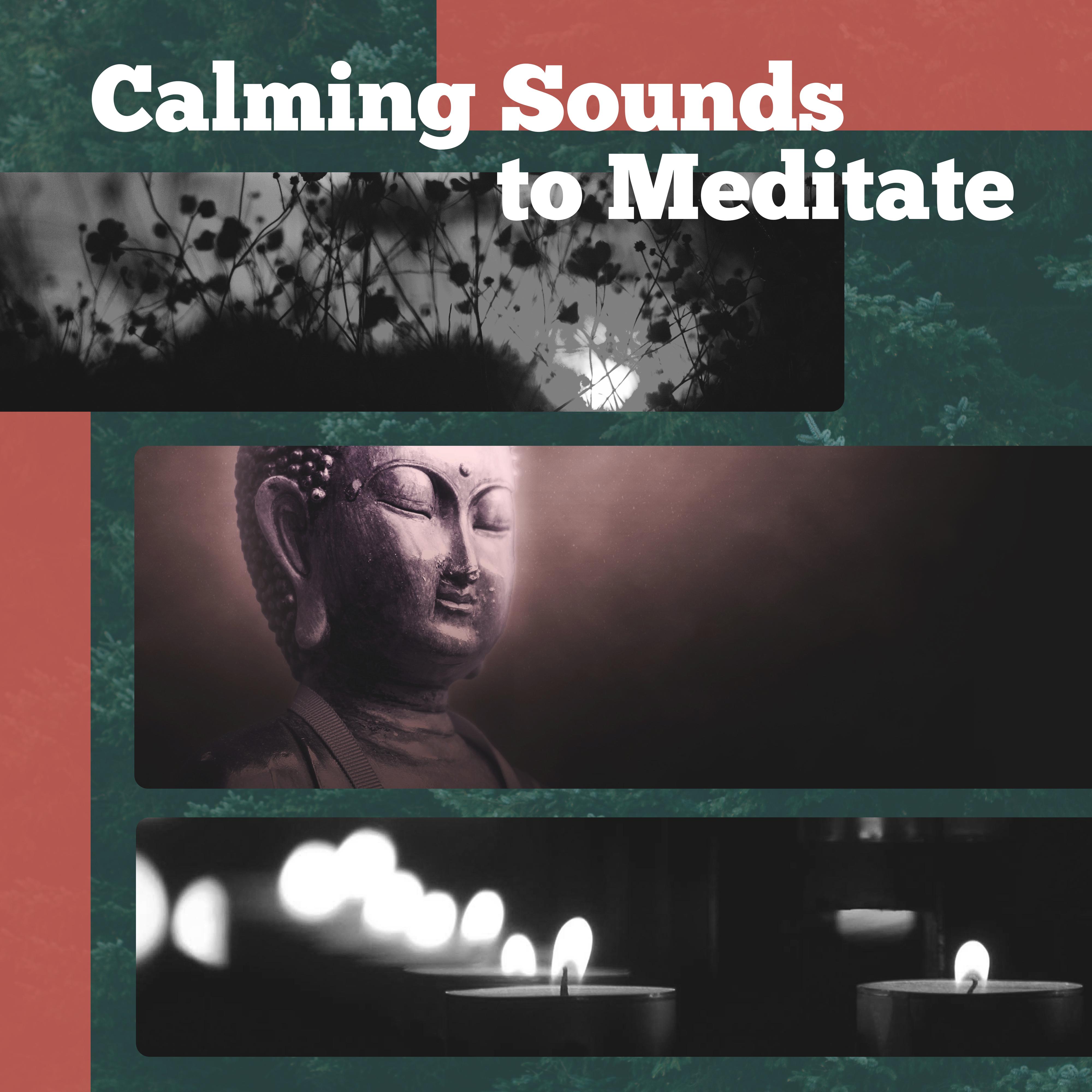 Calming Sounds to Meditate  Relaxing Music to Calm Down, Easy Way to Meditate, Stress Relief