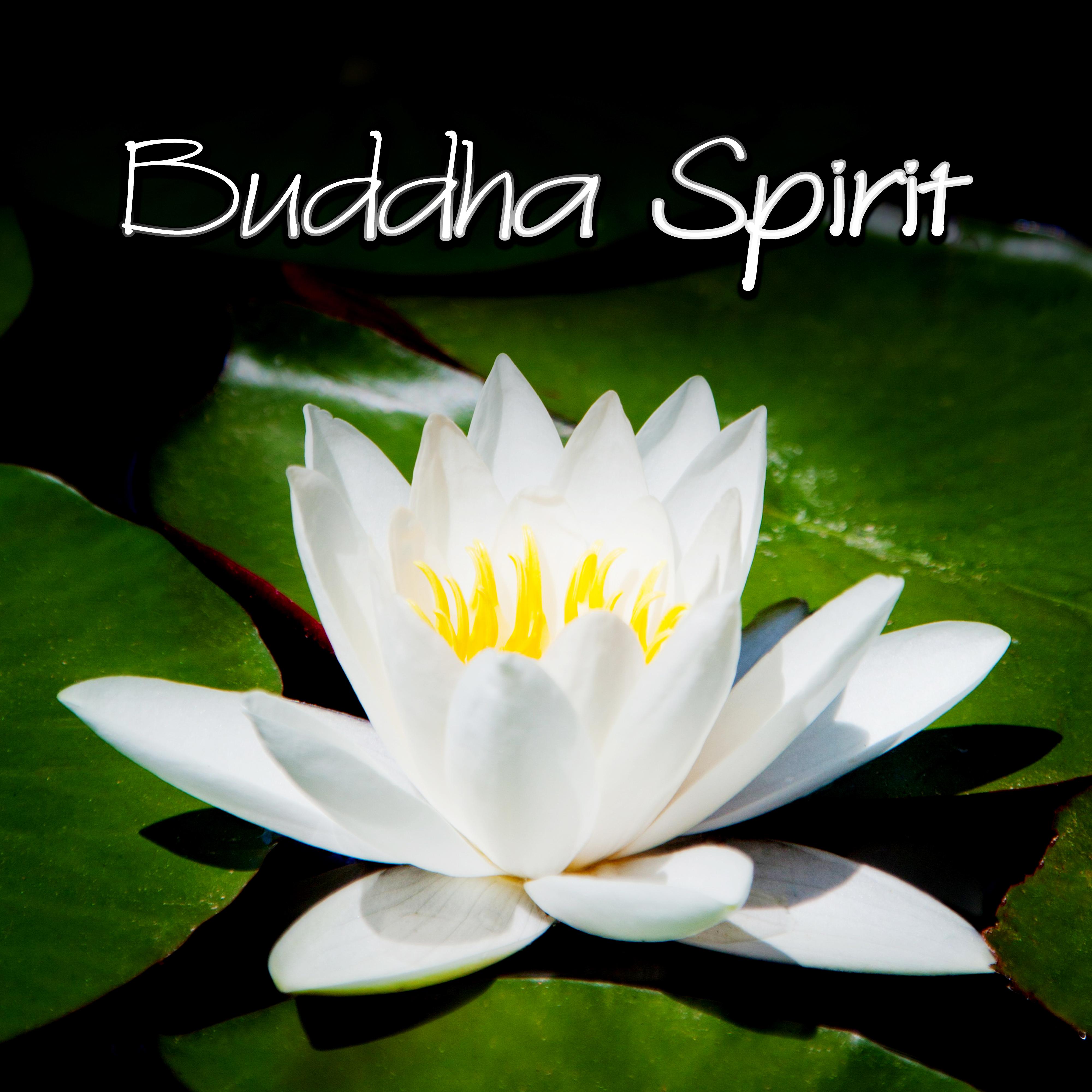 Buddha Spirit - Cafe Buddha Relaxation, Ambient Yoga, Tantra Spirit Meditation, Bar Chill Out Lounge, Asia Relax Edition, Sleep, Spa, Inner Peace, Waves of Calmness & Sounds of Nature
