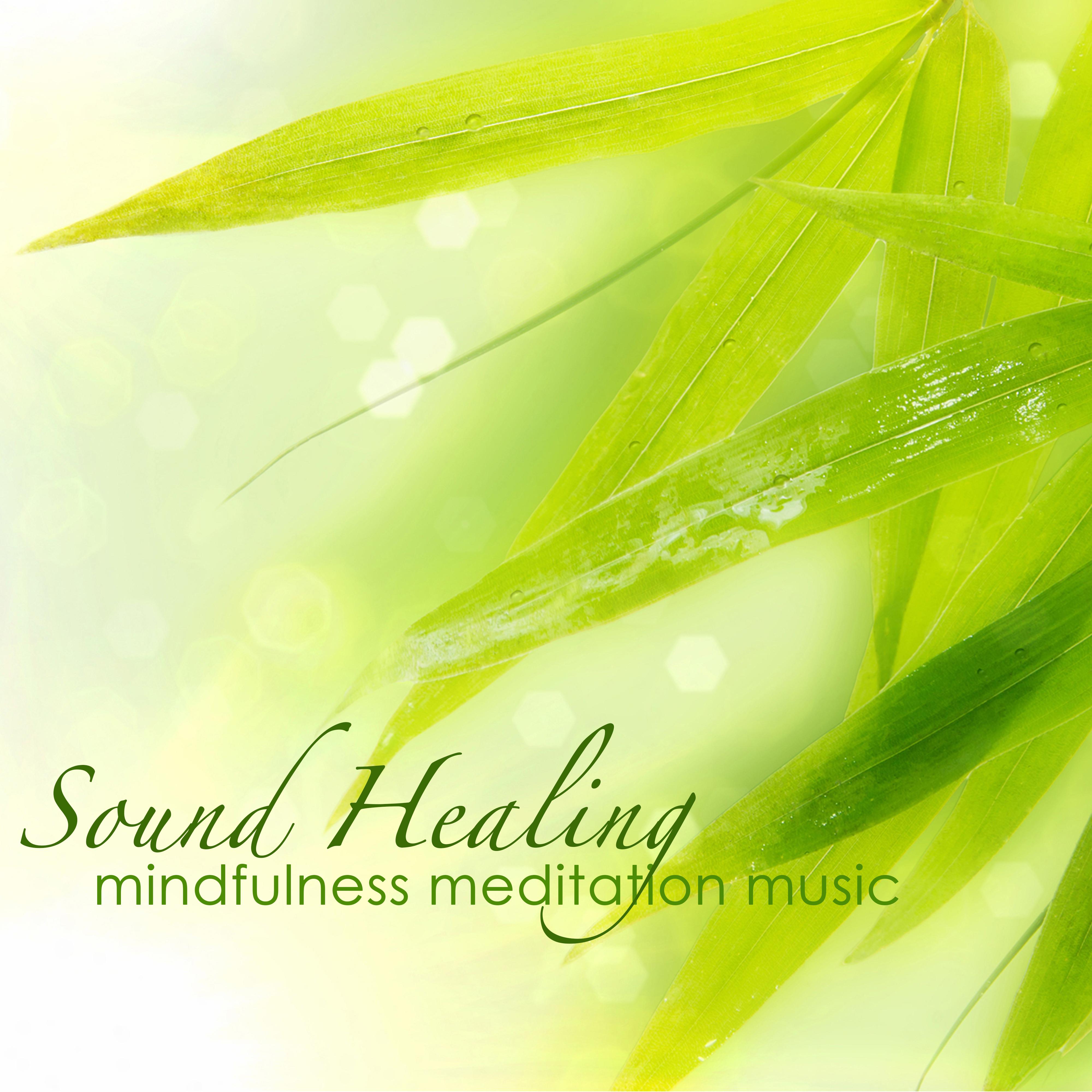 Sound Healing Mindfulness Meditation Music  Zen Nature Music for Deep Meditation and Pranayama Breathing