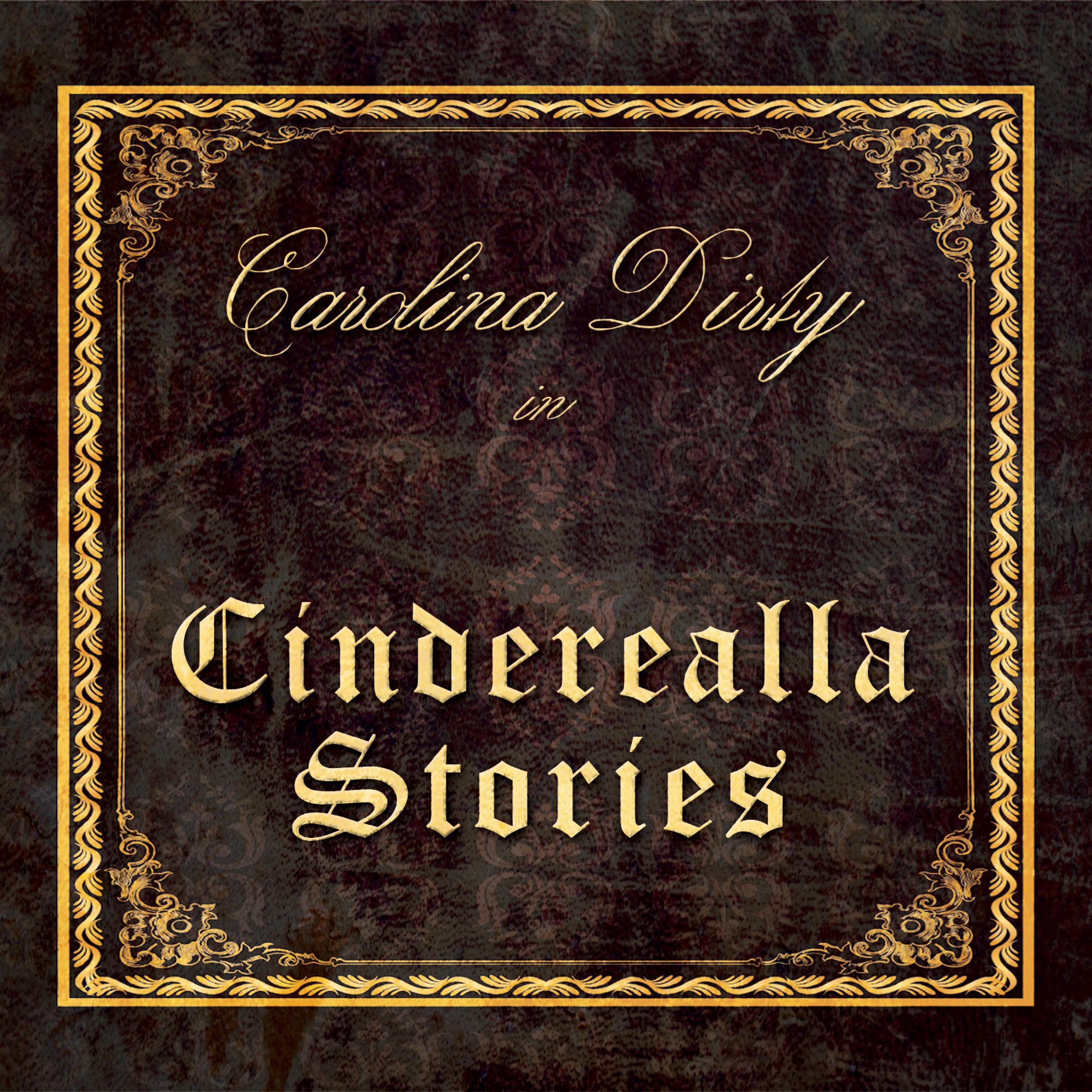 Cinderealla Stories