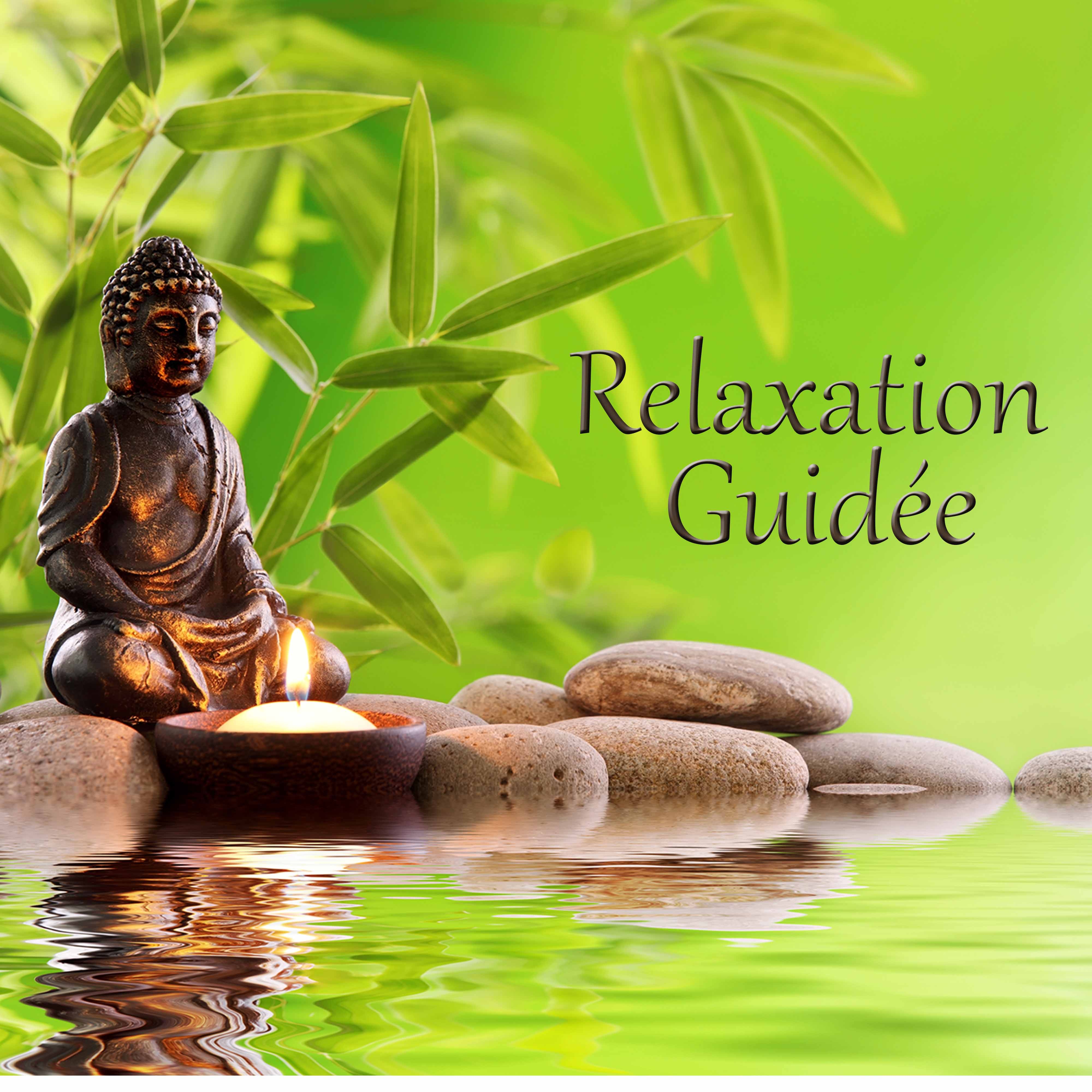 Relaxation guide e