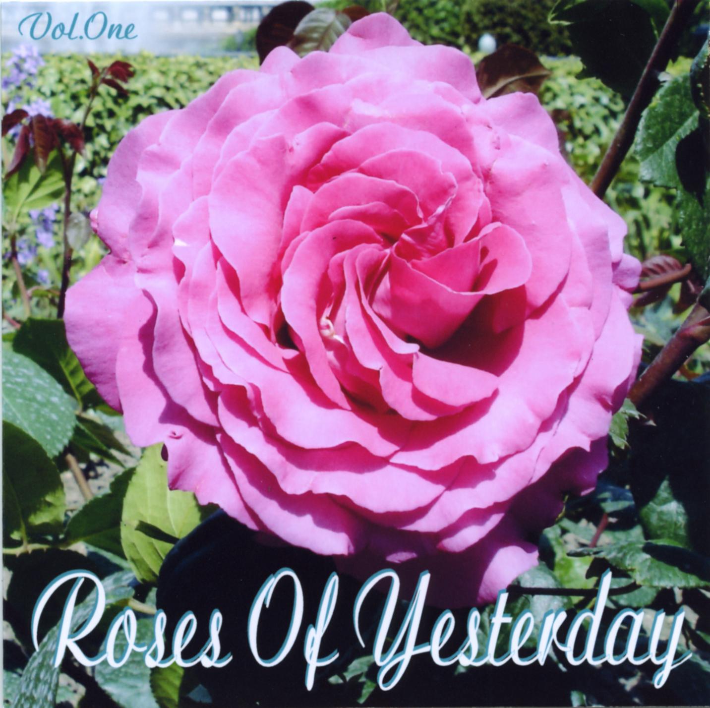 Roses of Yesterday, Vol. 1
