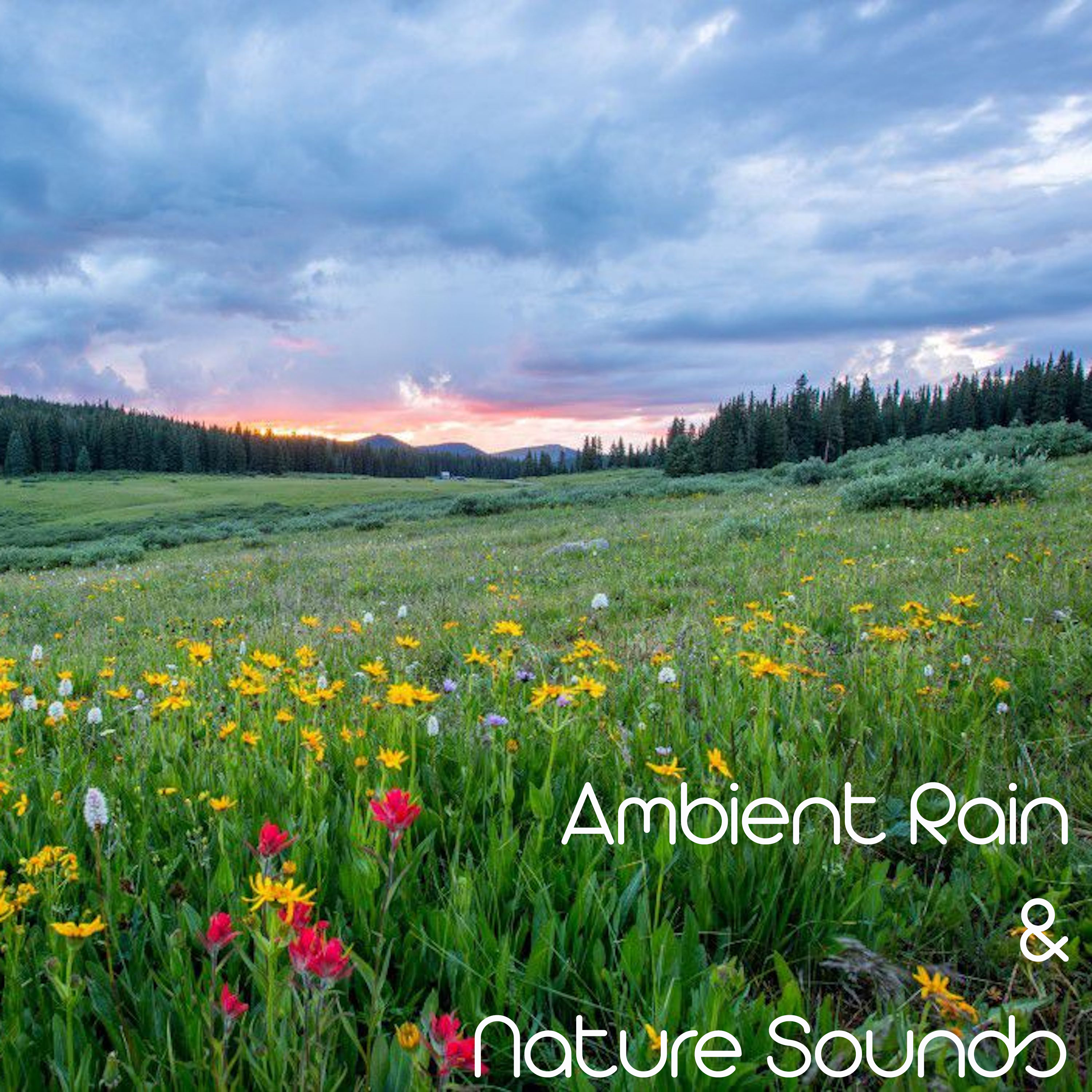 16 Ambient Rain Sounds and Nature Noises - Best of 2017 Compilation