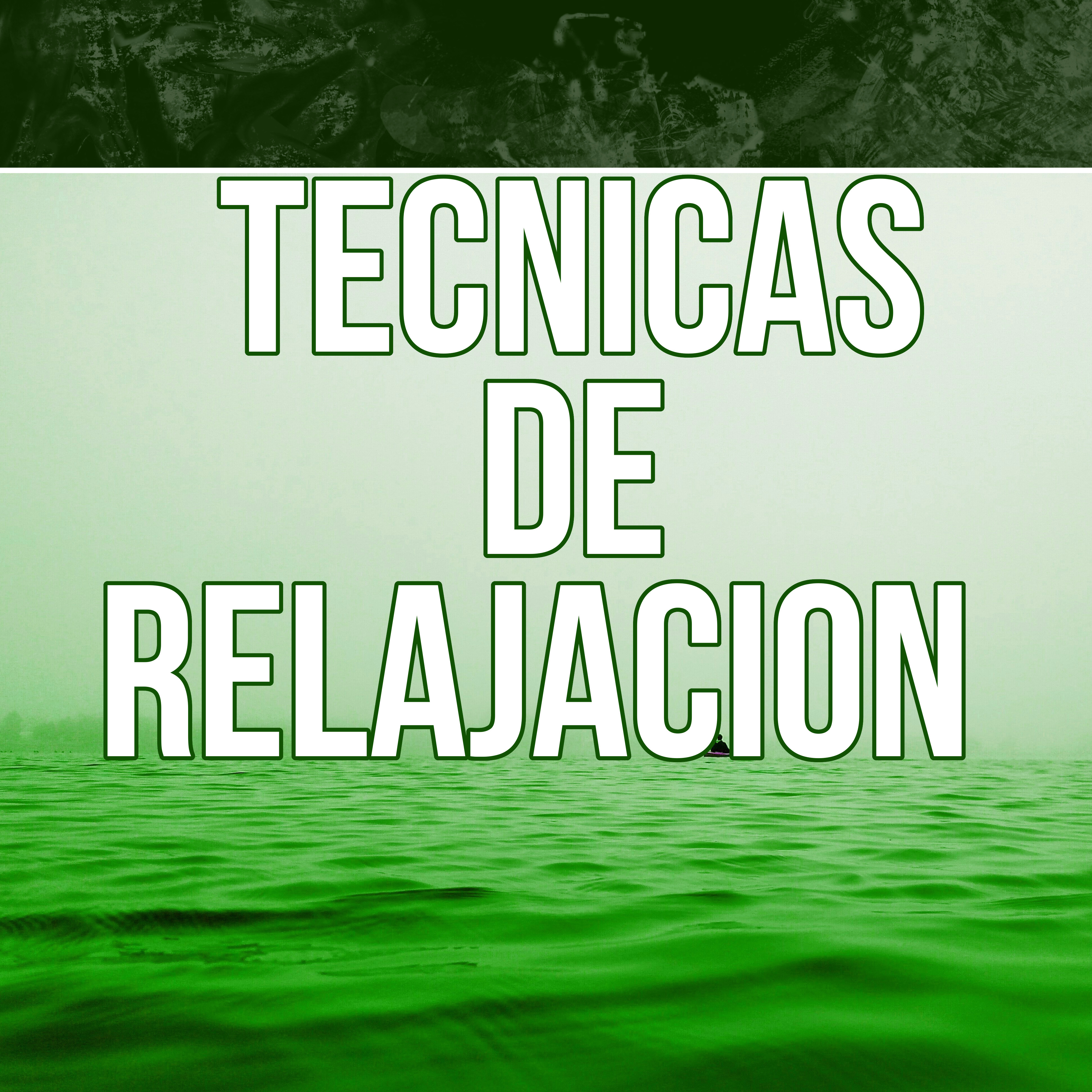 Tecnicas de Relajacion  Mu sica New Age para la Relajacio n, Masaje Shiatsu, Meditar con Sonidos de la Naturaleza, Energi a Positiva para Controlar la Ansiedad, Sonidos del Mar para Dormir, Masoterapia