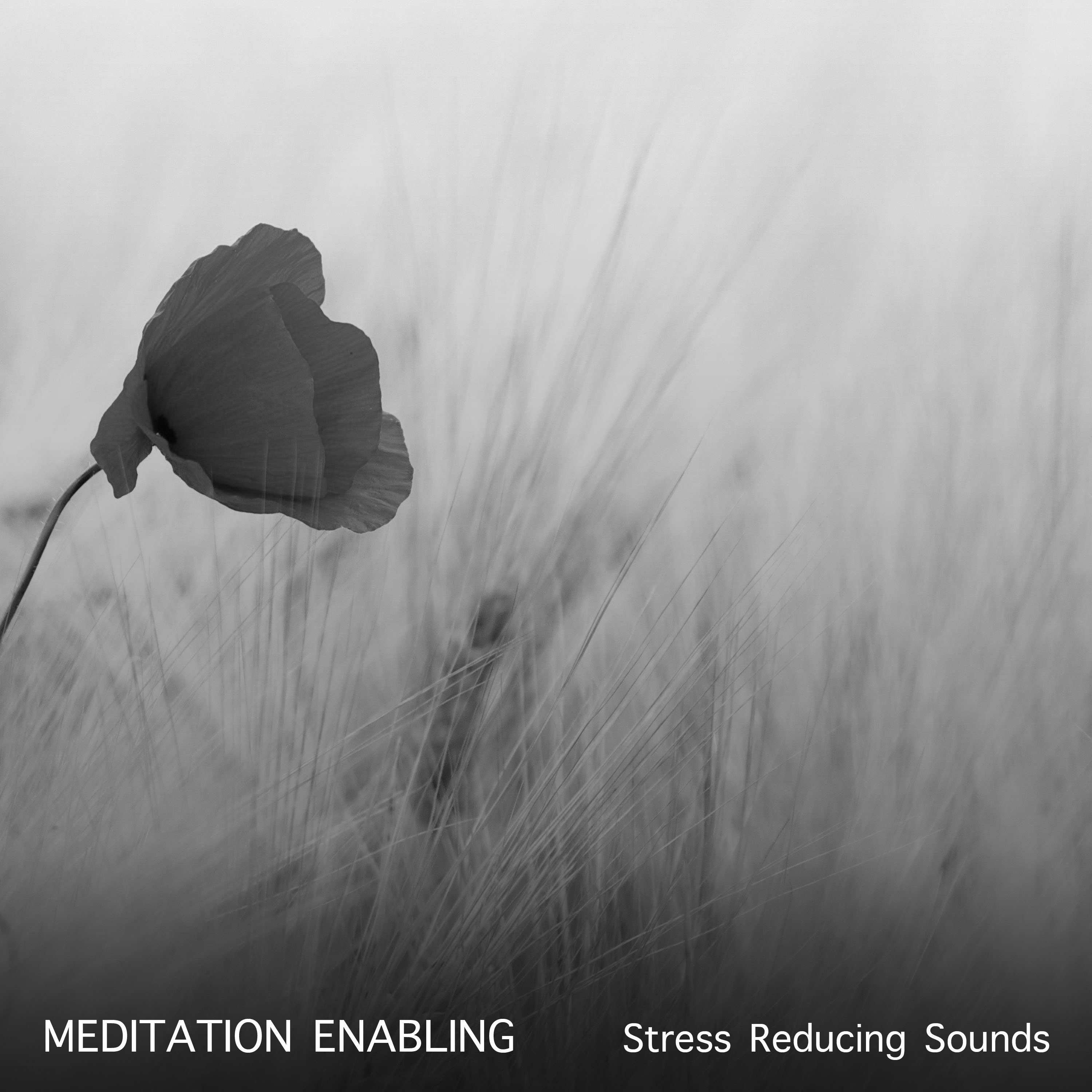 17 Meditation Enabling, Stress Reducing Sounds