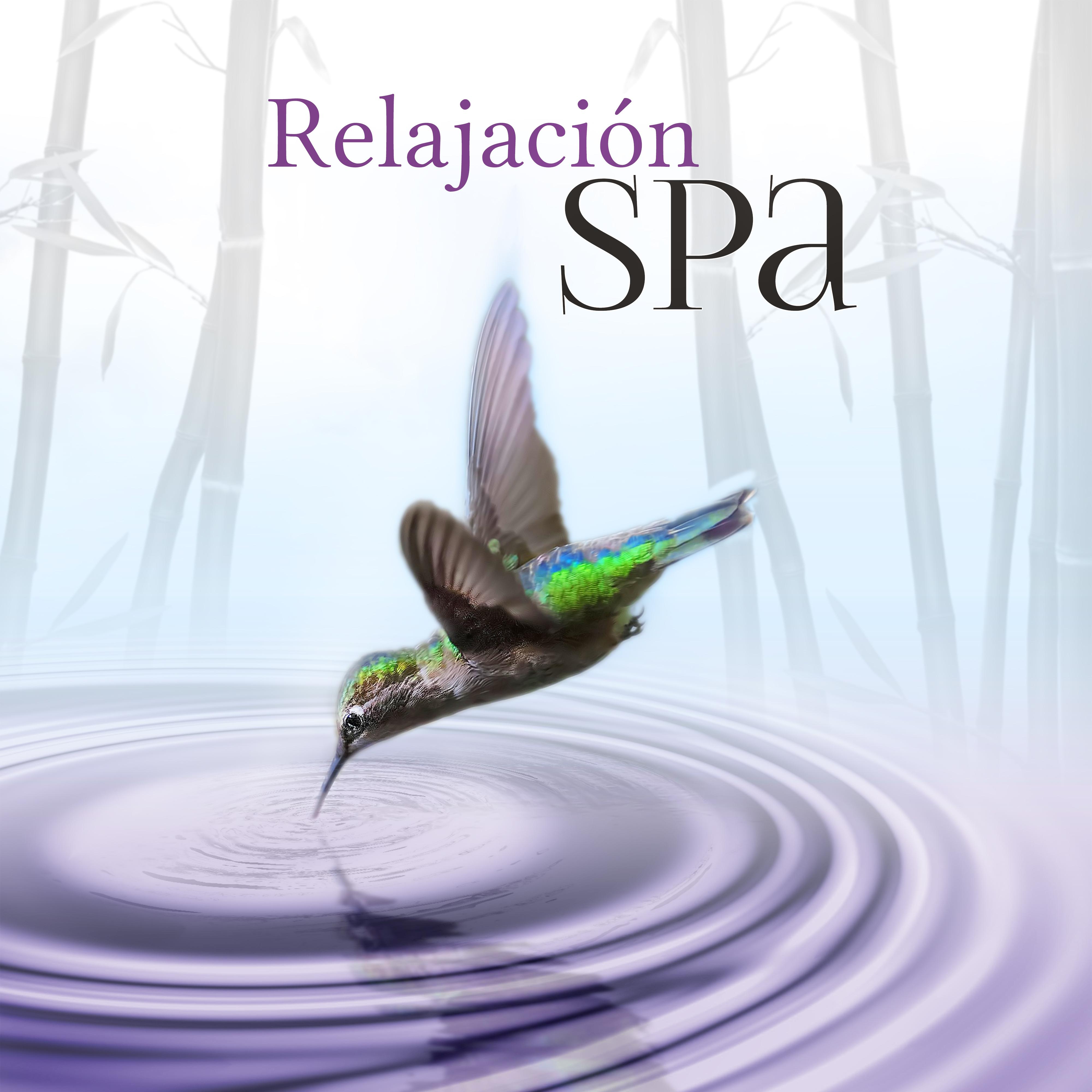 Relajacio n Spa  Sonidos de la Naturaleza, la Mu sica para Ayurveda Yoga y se Calmen, Bienestar, Meditacio n Mu sica, Mu sica para Spa, Relajar el Cuerpo y el Alma, Aromaterapia Reflexologi a y Reiki