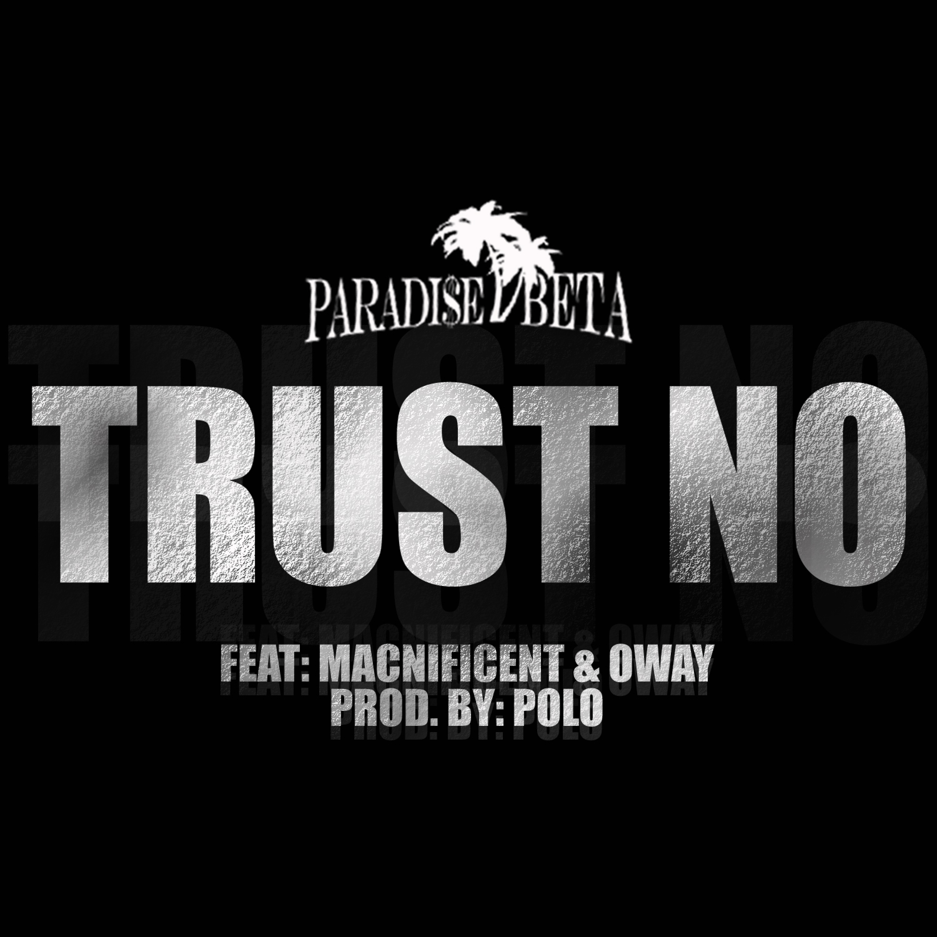 Trust No (feat. Macnificent & Oway)