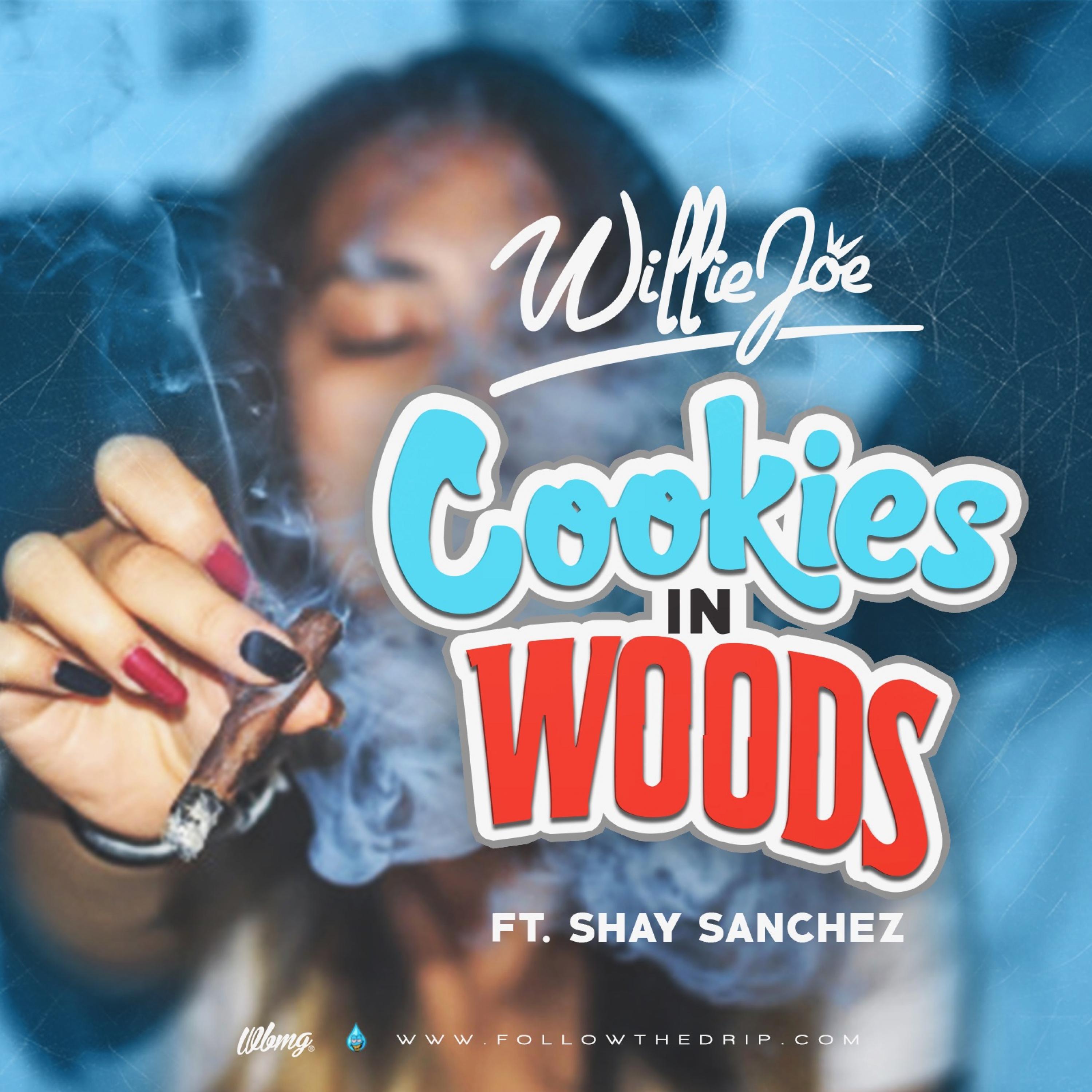 Cookies in Woods
