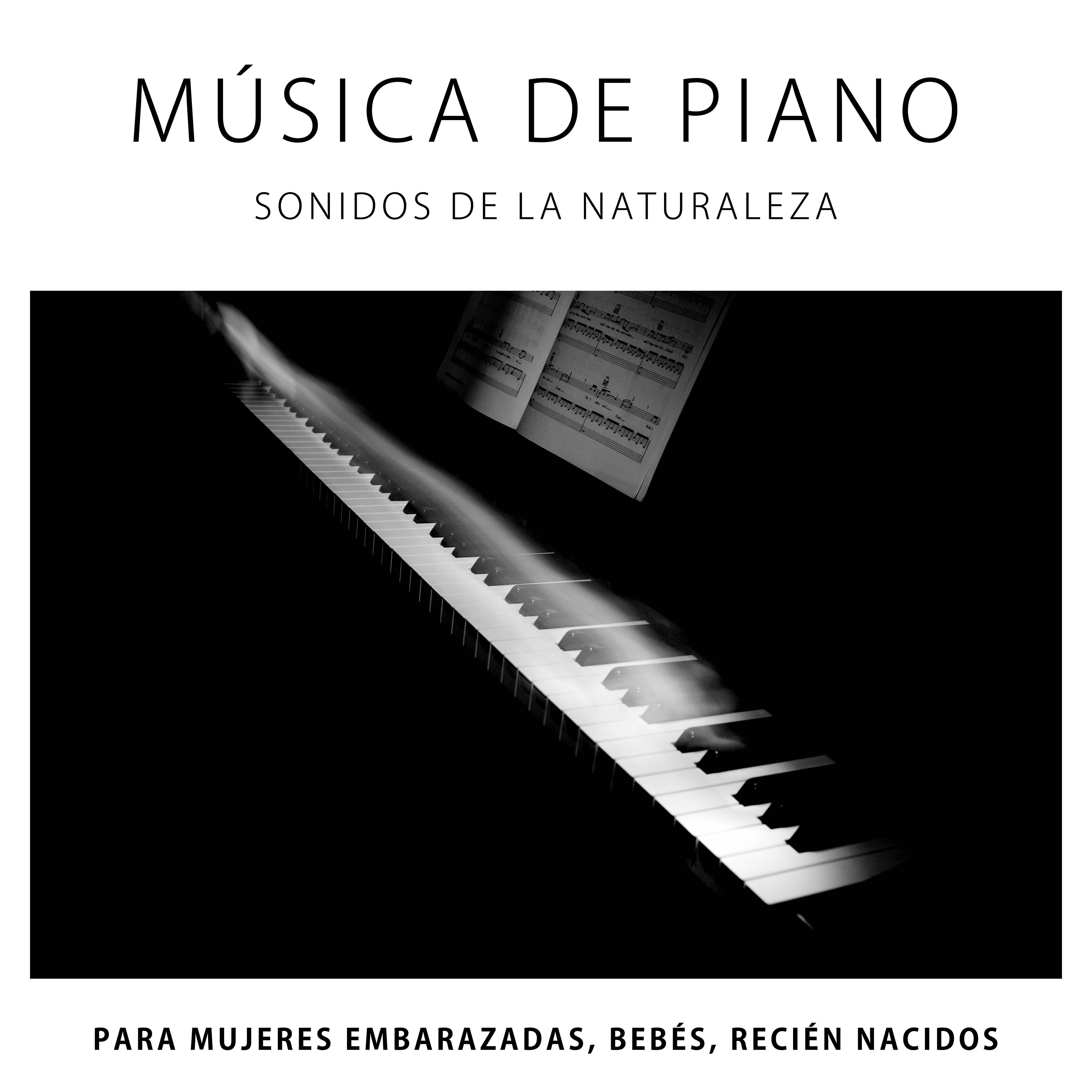 Musica de Piano, Sonidos de la Naturaleza (Lluvia, Olas del Mar) para Mujeres Embarazadas, Bebes, Recien Nacidos