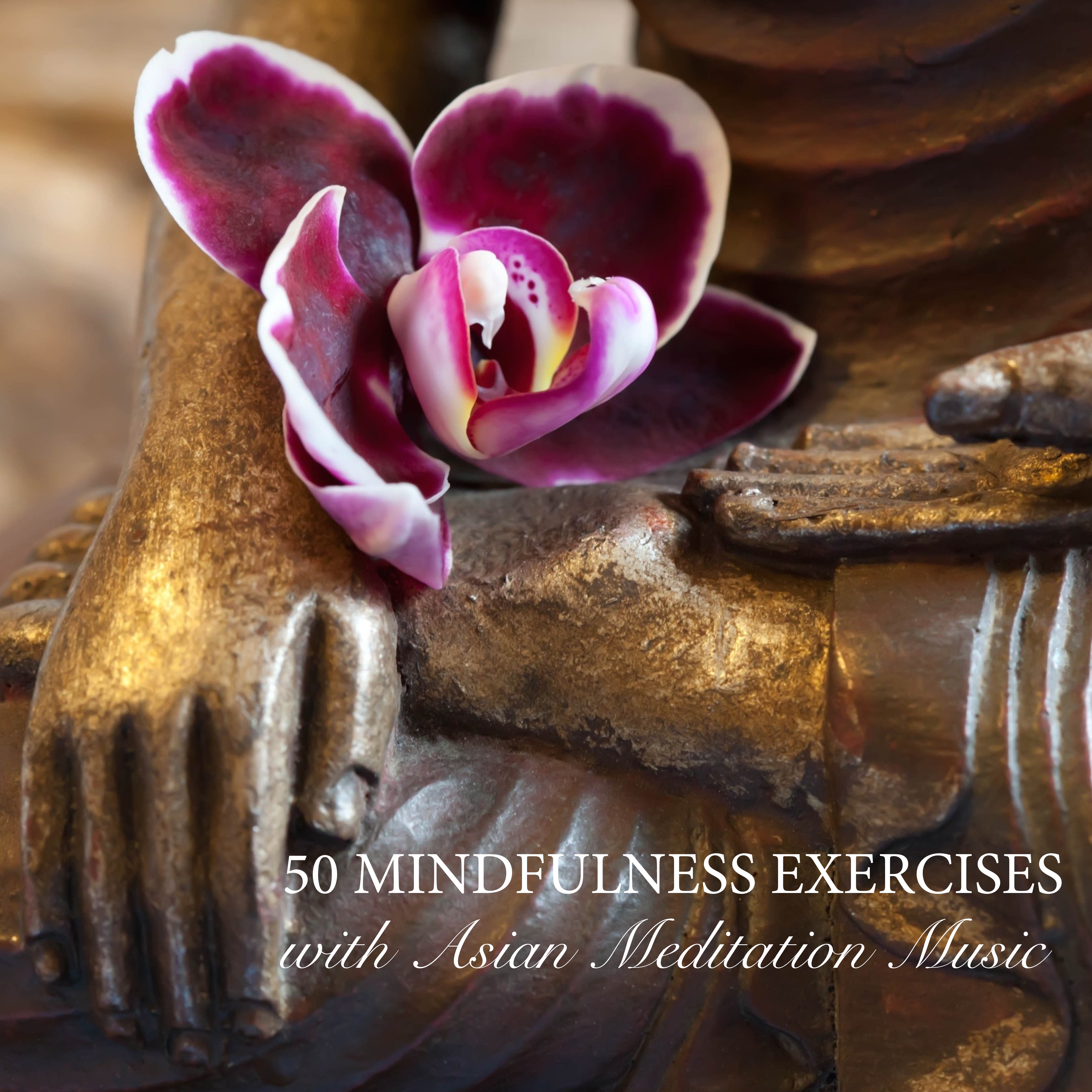 50 Mindfulness Exercises with Asian Meditation Music - Relaxing Songs and Zen Meditation Music for Purity, Spirituality & Serenity