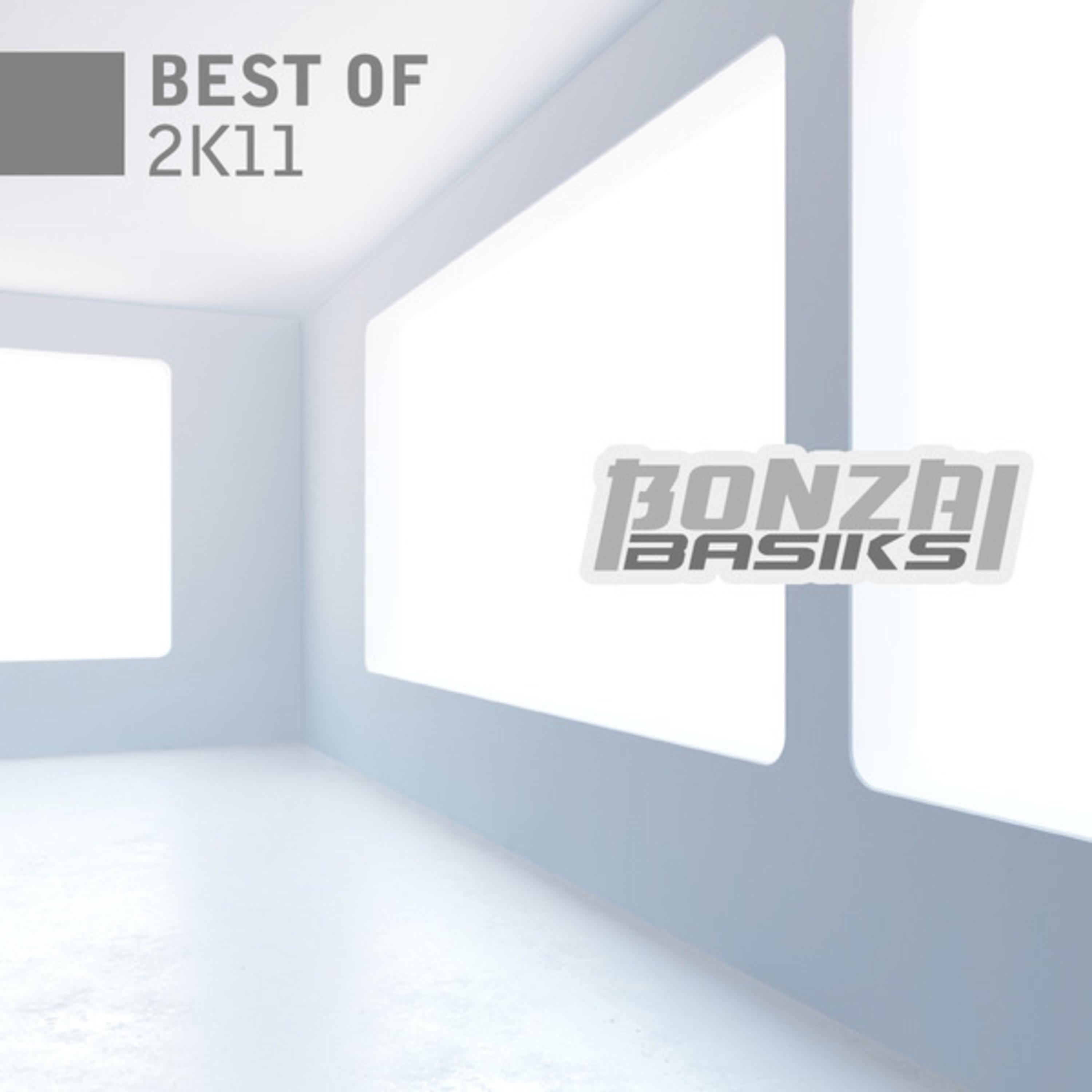 Bonzai Basiks - Best of 2k11