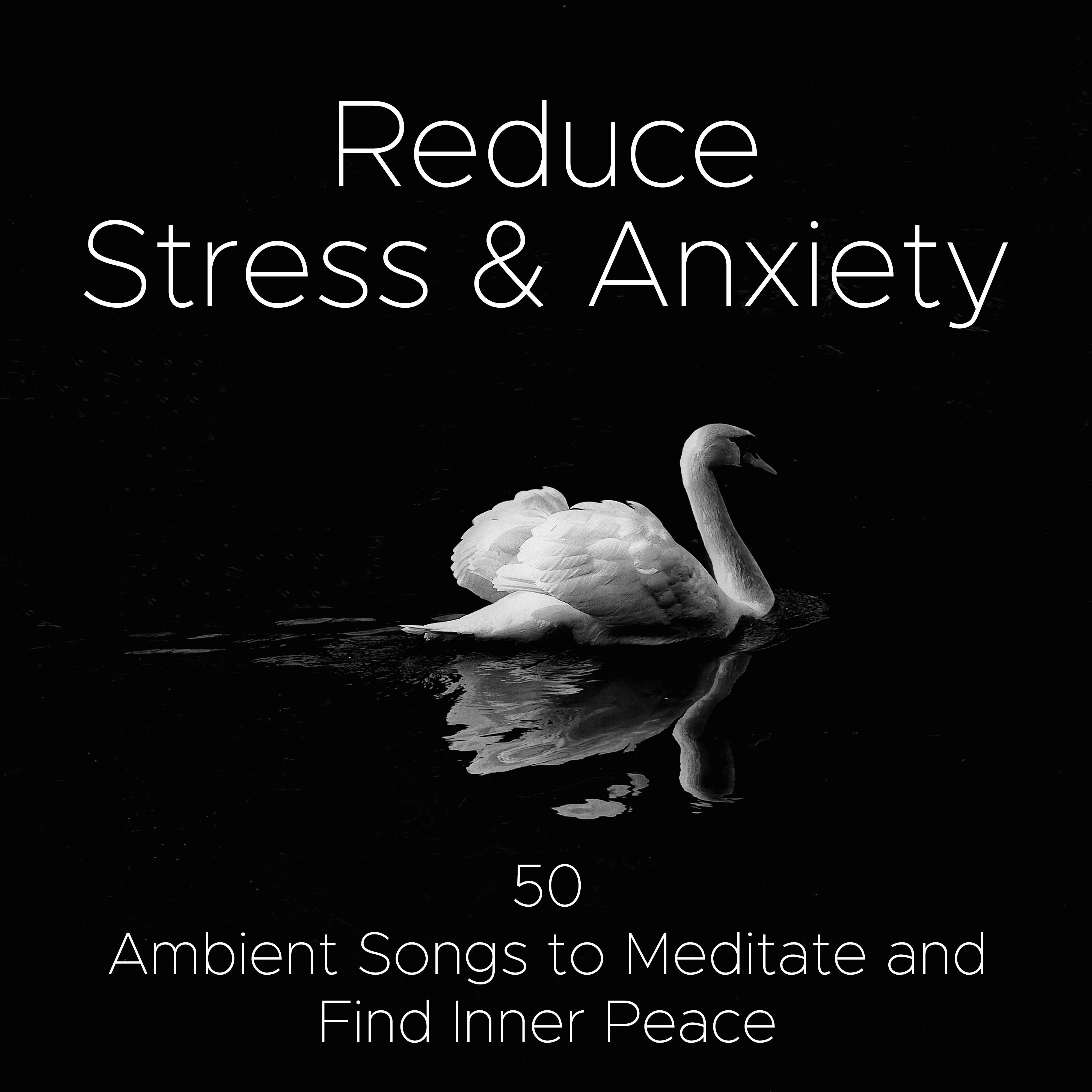 Reduce Stress & Anxiety - 50 Ambient Songs to Meditate and Find Inner Peace