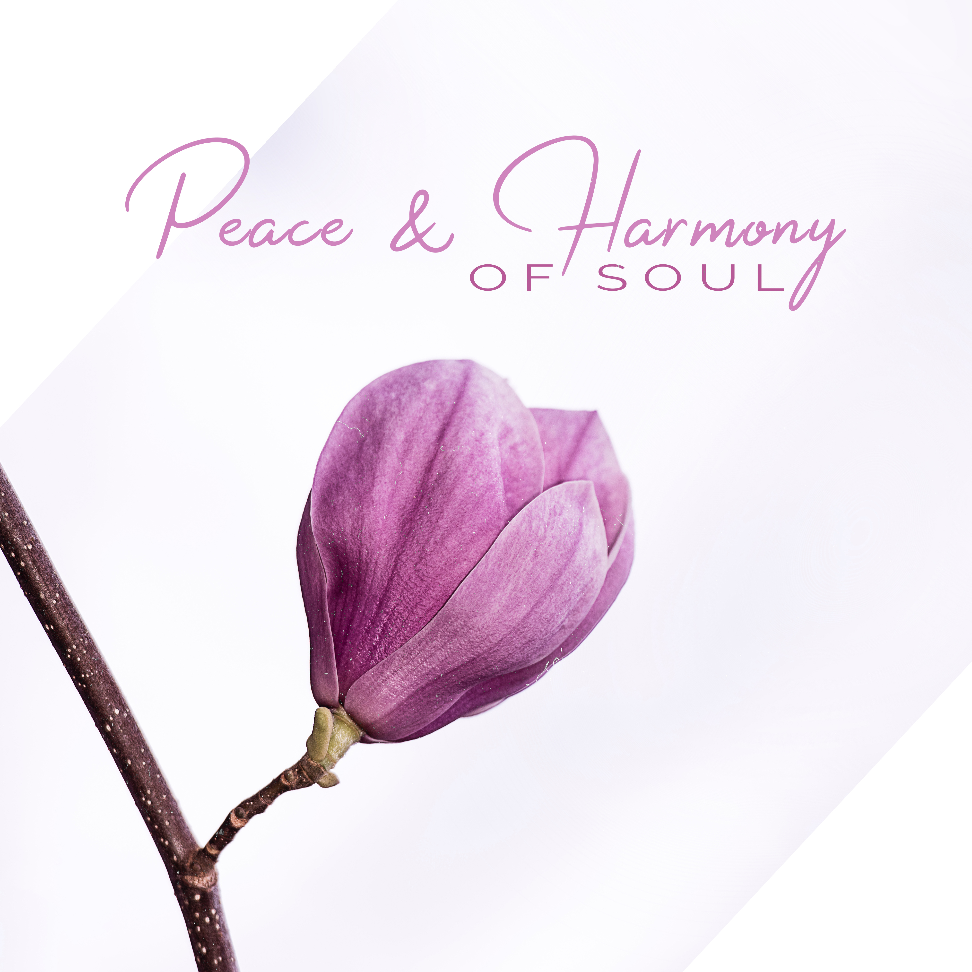 Peace  Harmony of Soul  New Age Meditation Music Compilation