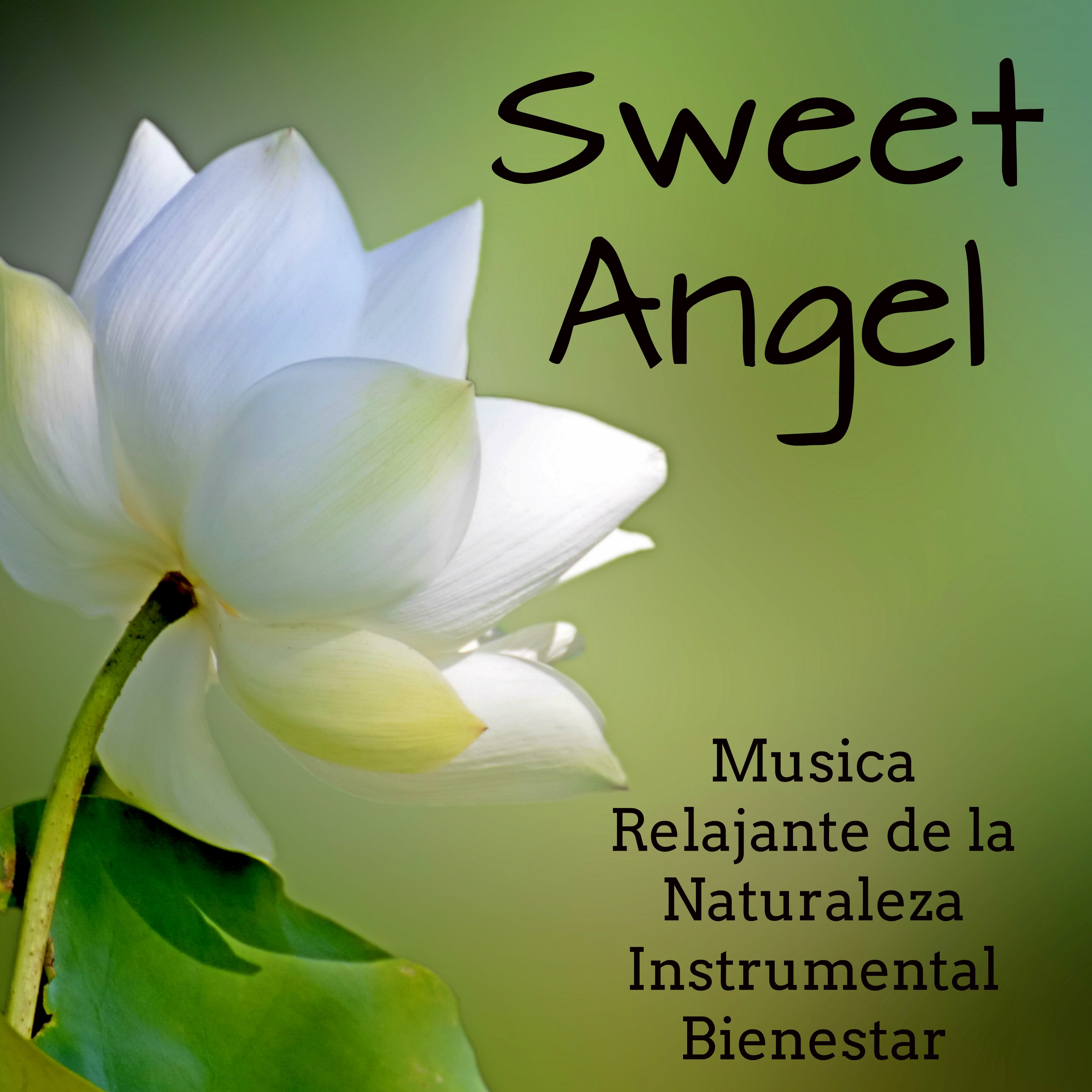 Sweet Angel - Musica Relajante de la Naturaleza Instrumental Bienestar para Ejercicios para el Cerebro Dormir y Cuerpo Saludable