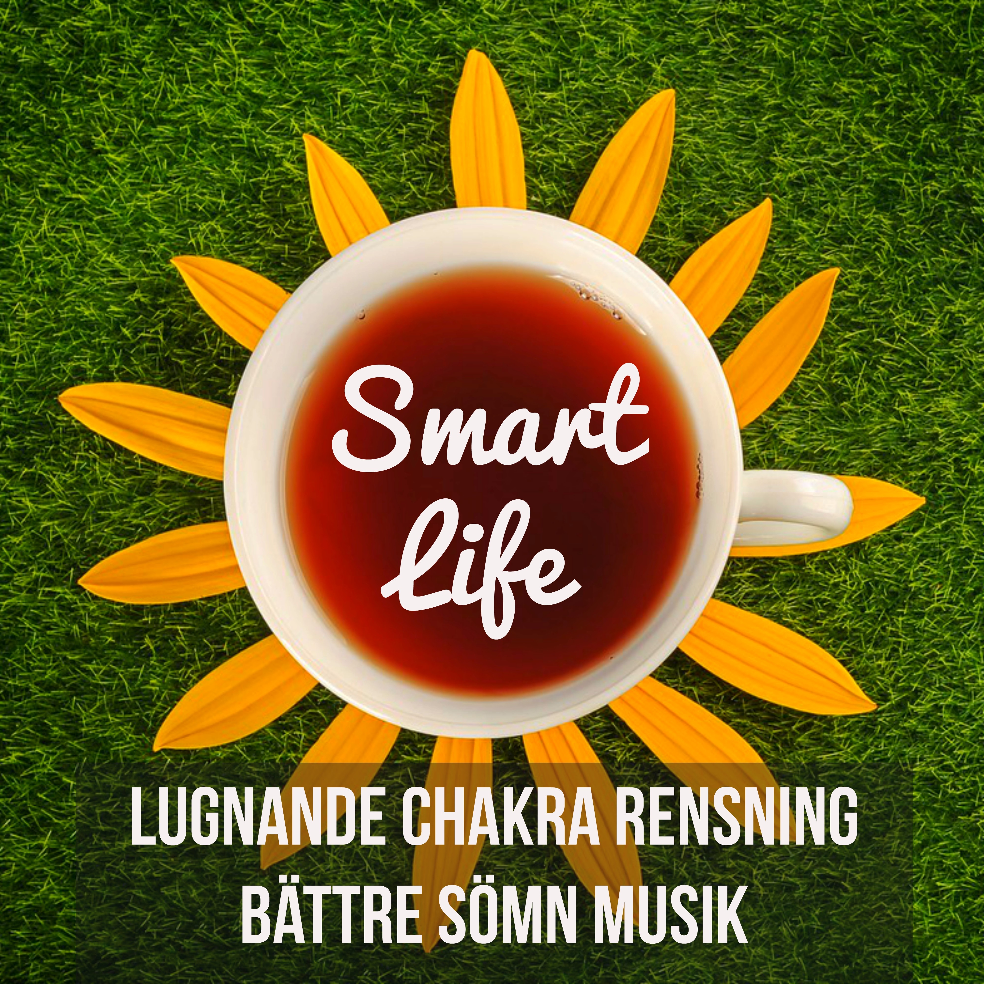 Smart Life  Lugnande Chakra Rensning B ttre S mn Musik f r Yoga Healing Terapi Buddistisk Meditation och Djupandning