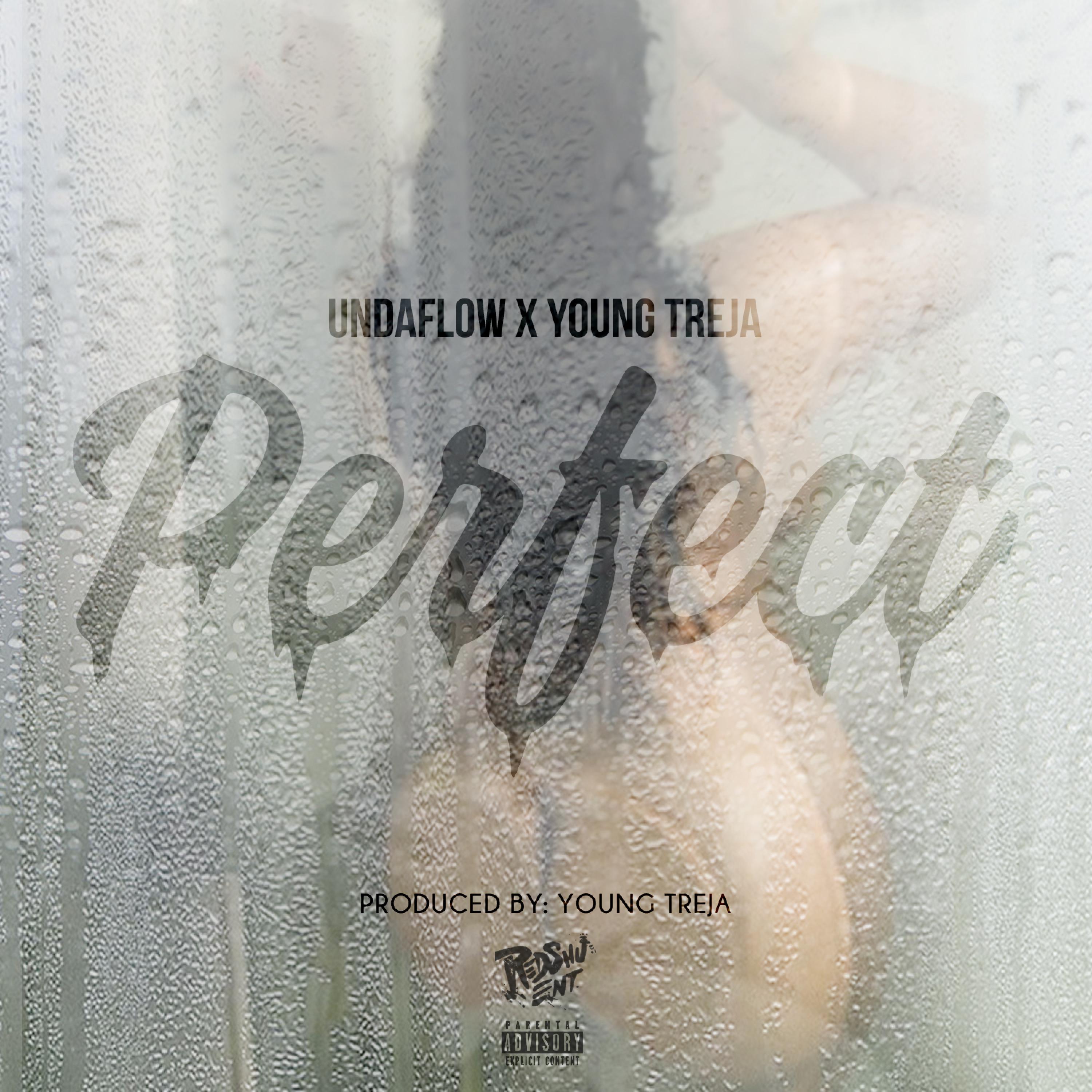 Perfect (feat. Young Treja) - Single