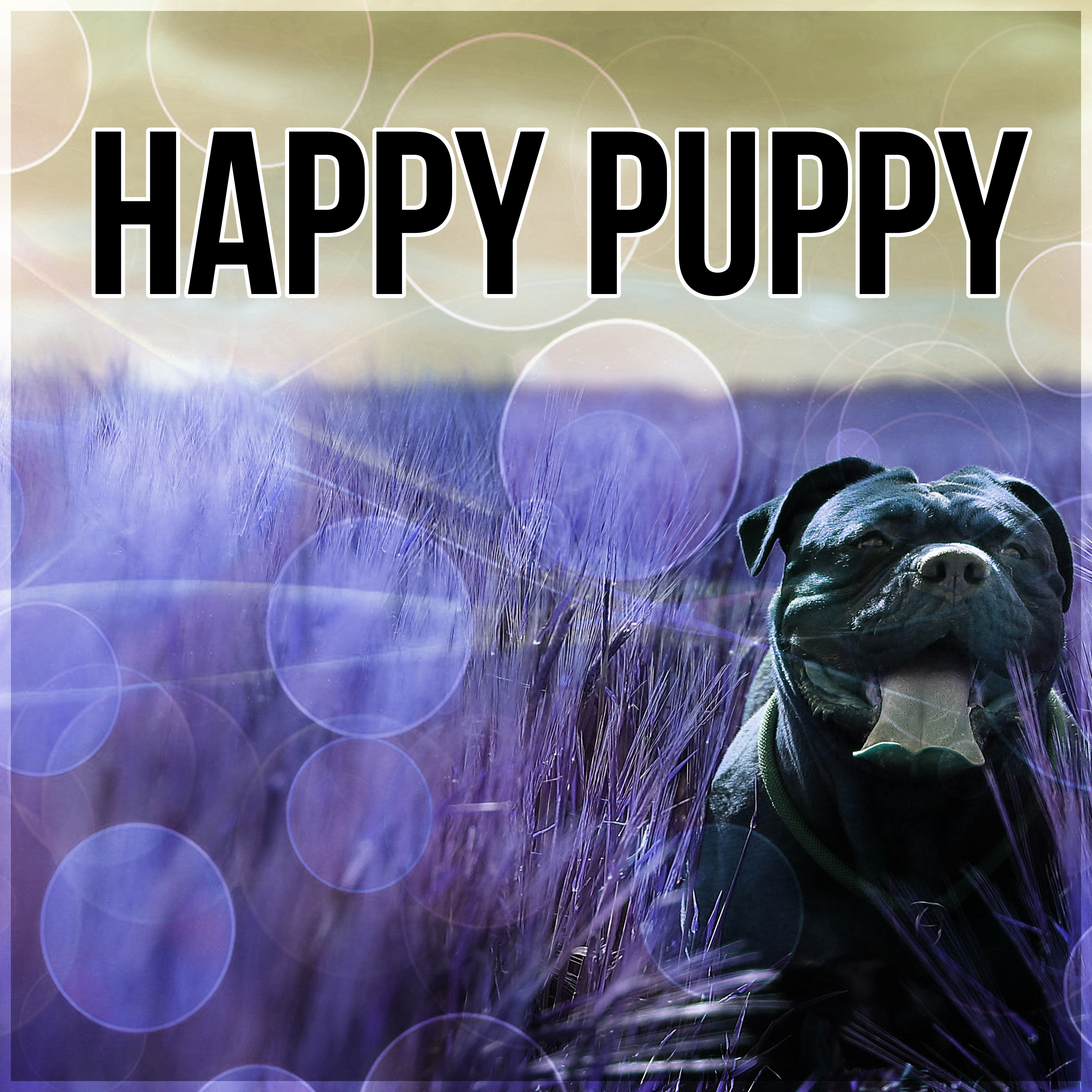 Happy Puppy - Calm Down Your Animal Companion, Soothing Nature Sounds for Puppies & Cats