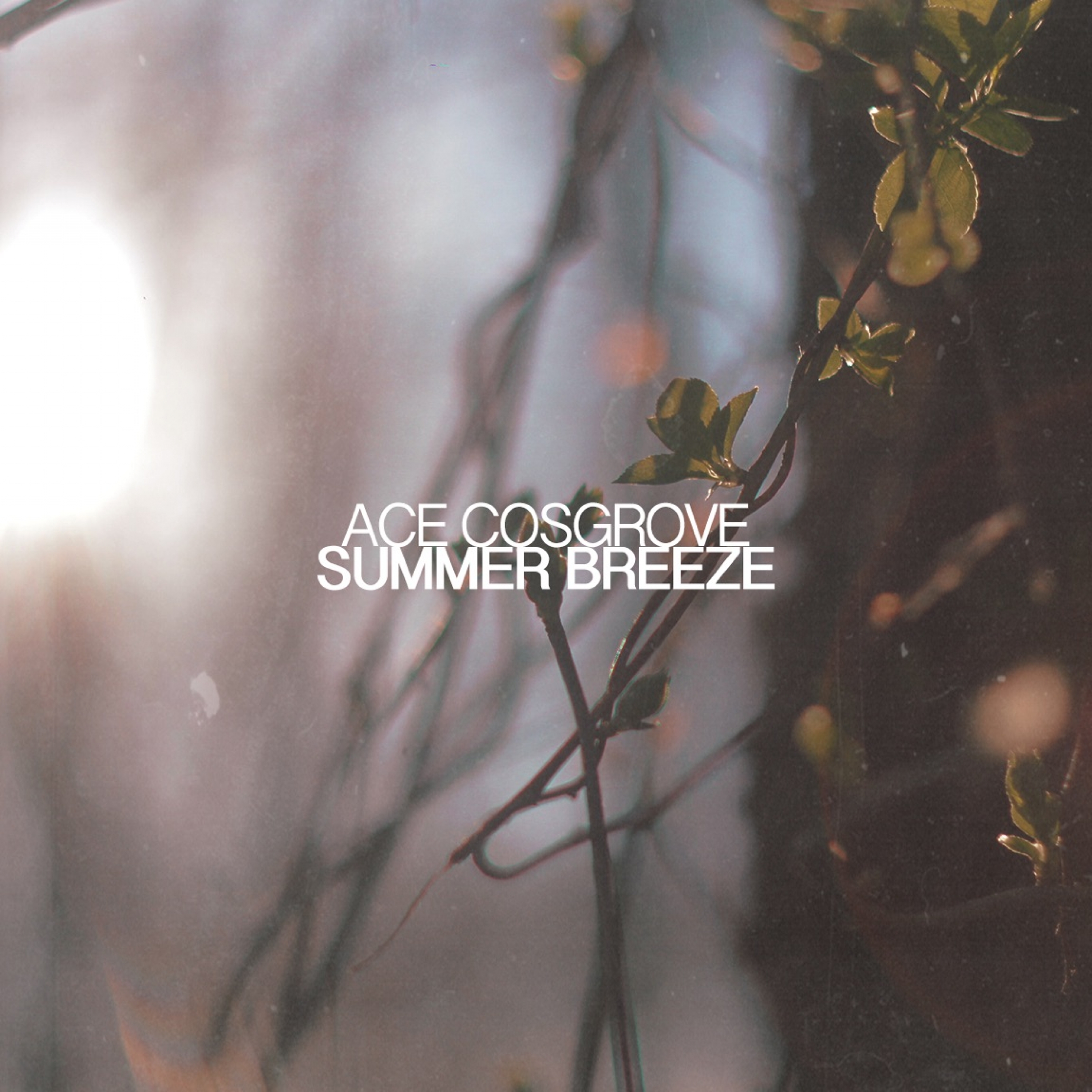 Summer Breeze - Single