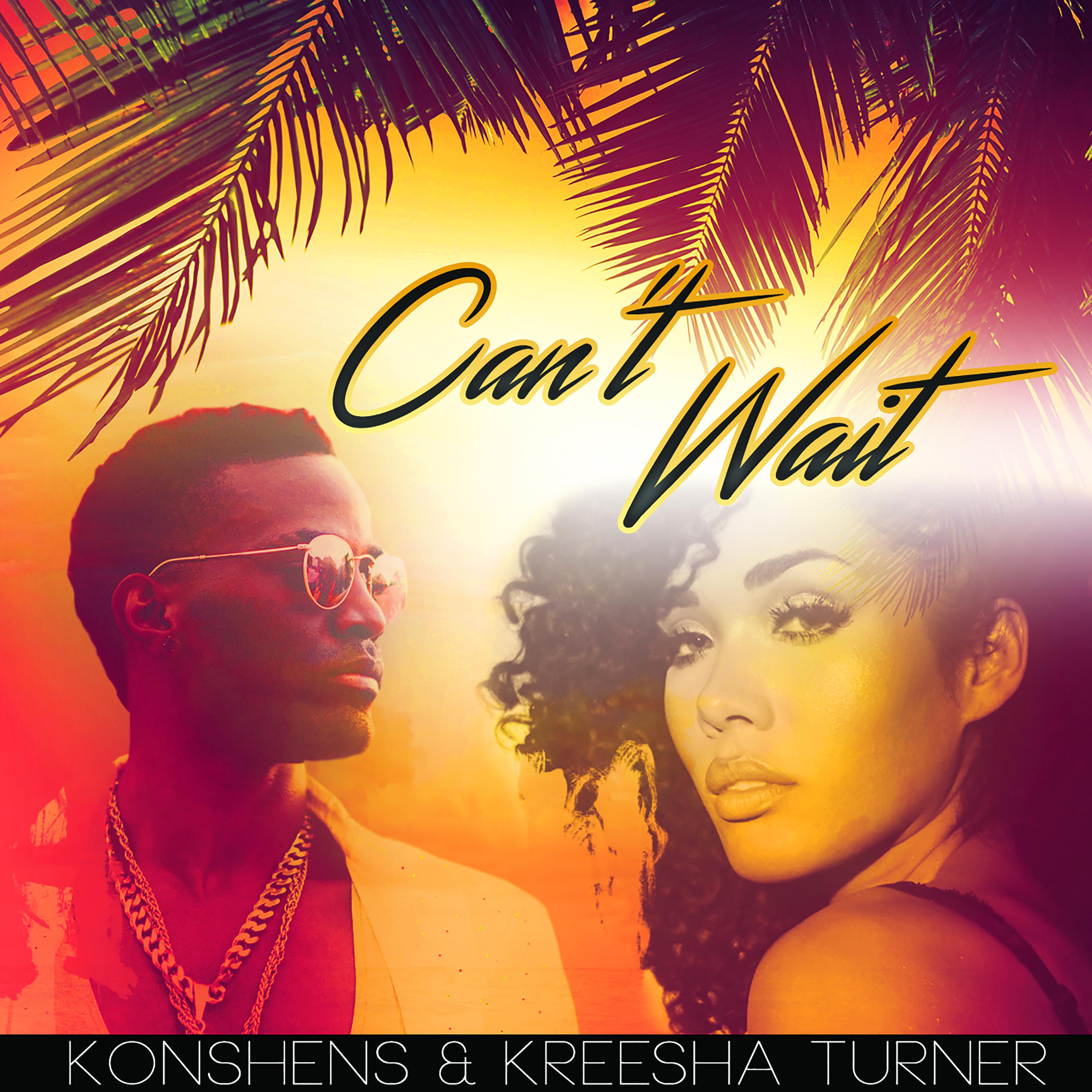 Can't Wait (feat. Kreesha Turner) - Single