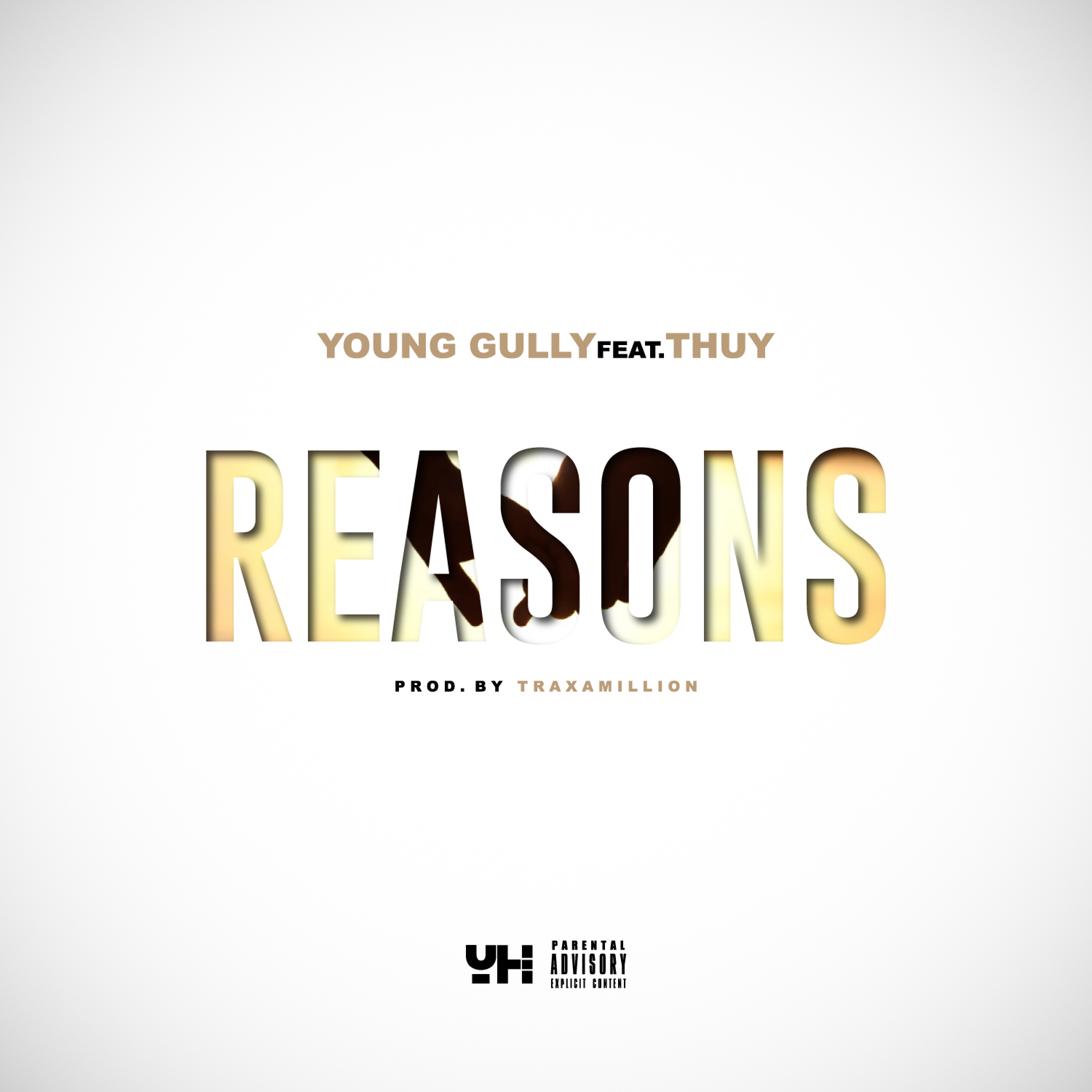 Reasons (feat. Thuy) - Single