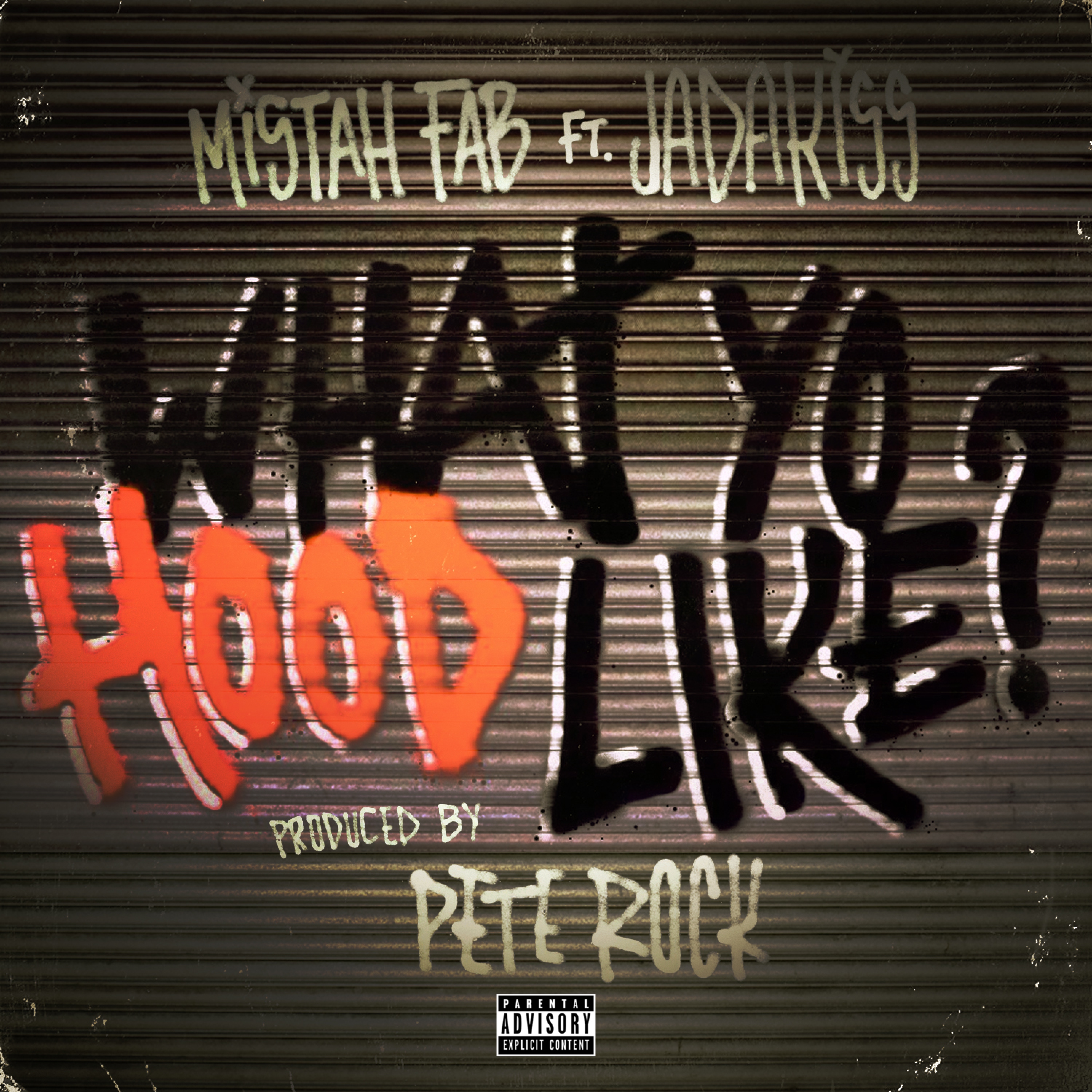 What Yo Hood Like (feat. Jadakiss) - Single