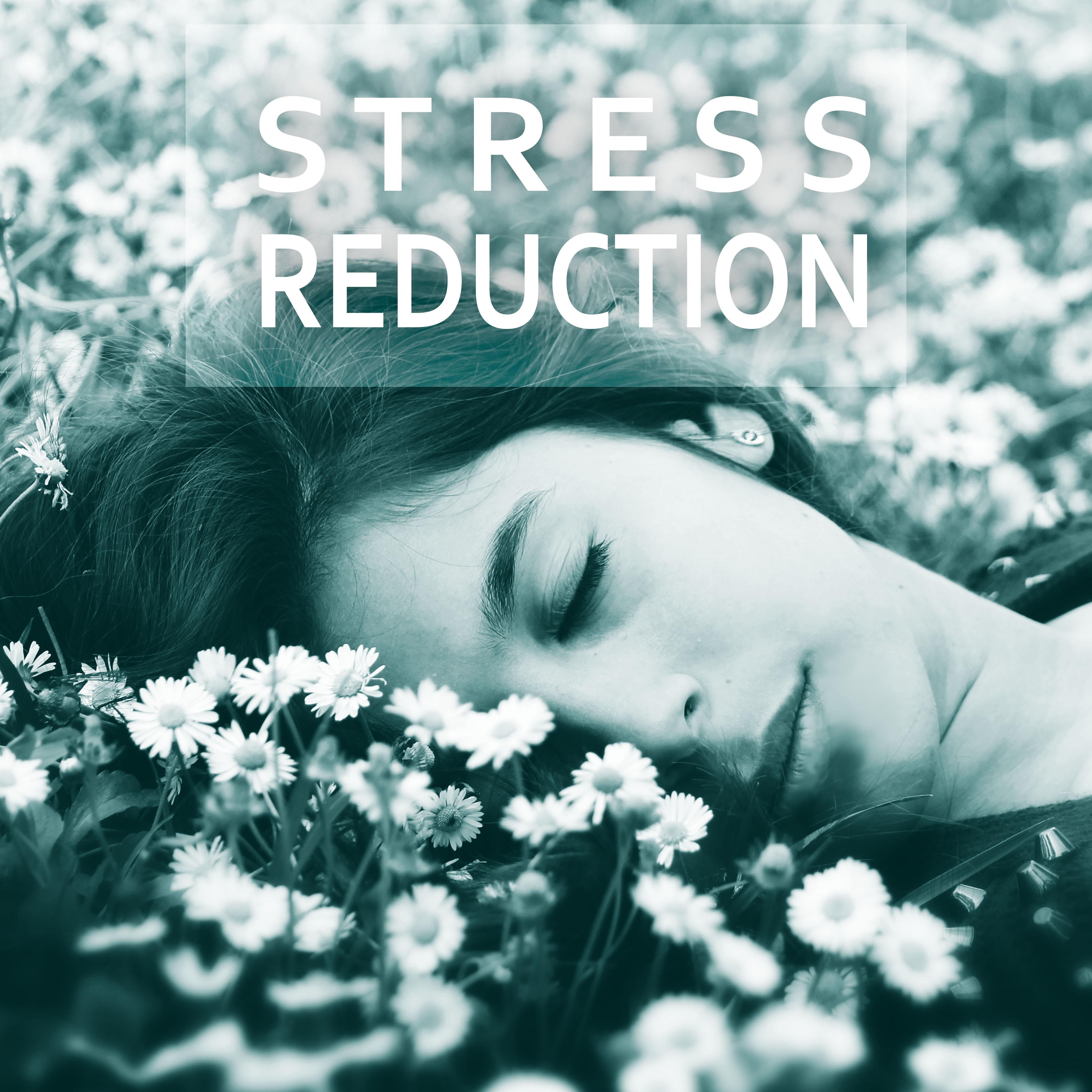 Stress Reduction - Insomnia Therapy, Nature Sounds, Mindfulness Meditation, Sleep Music, Spiritual Healing, New Age