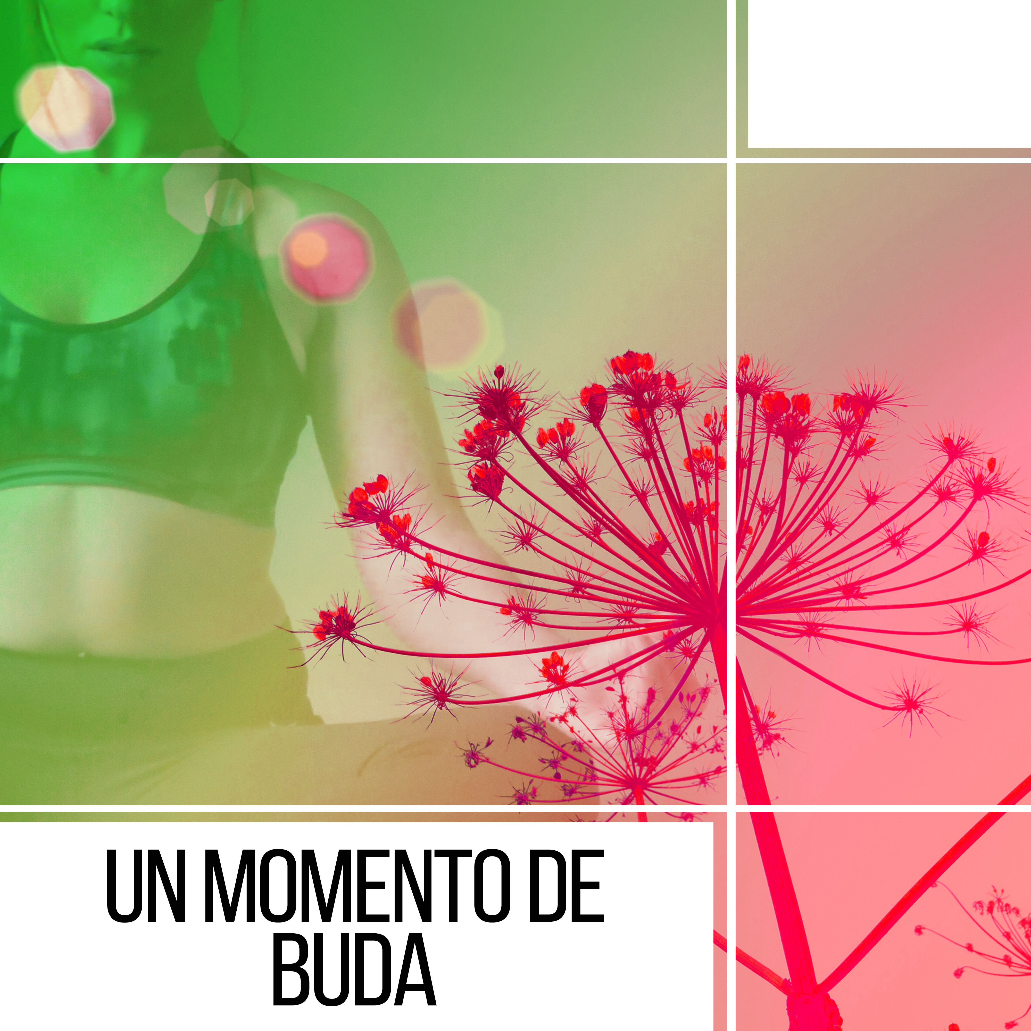 Un Momento de Buda - Ayuda Paz, Tiempo de Silencio, El Momento de Repensar, Silencio y el Equilibrio