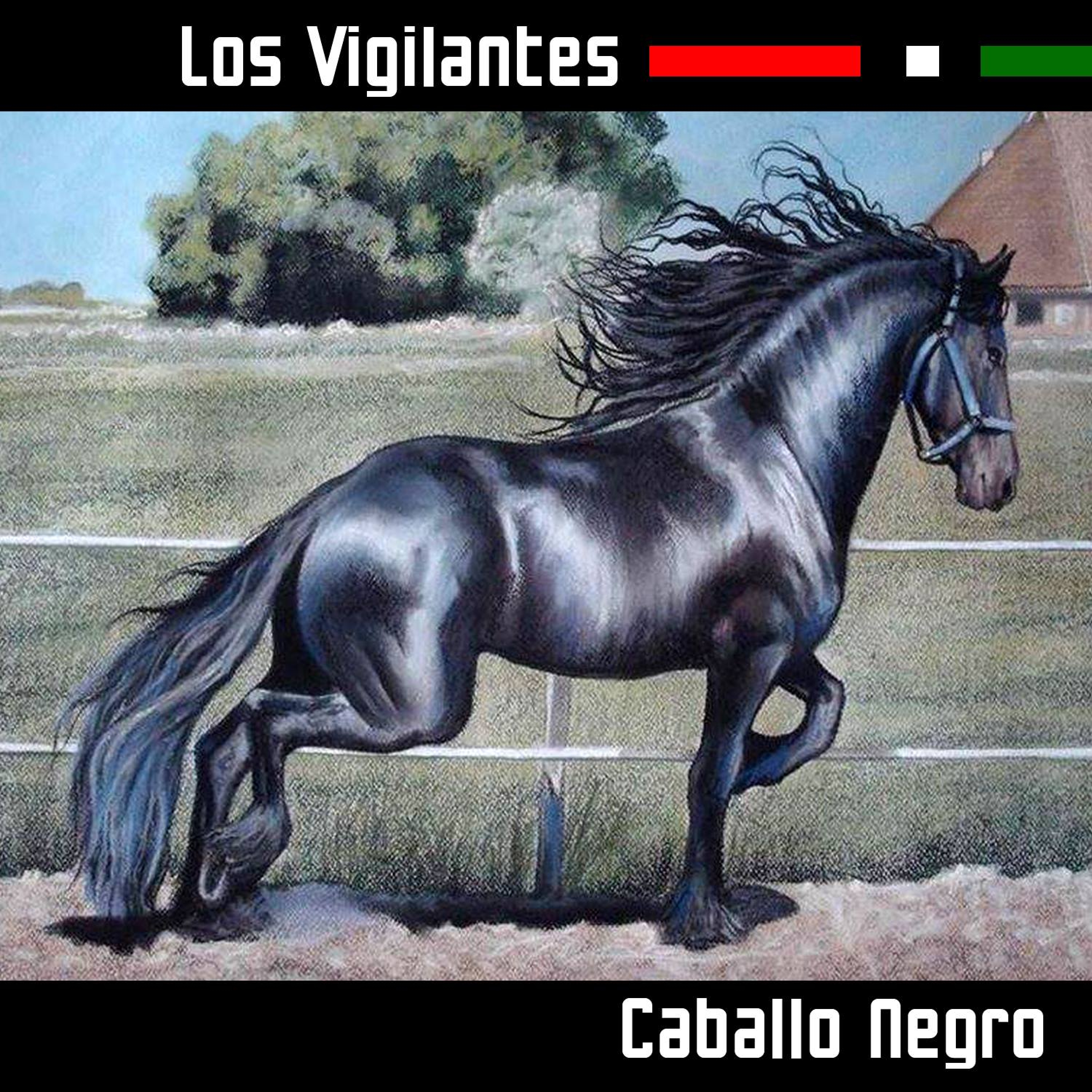 Caballo Negro