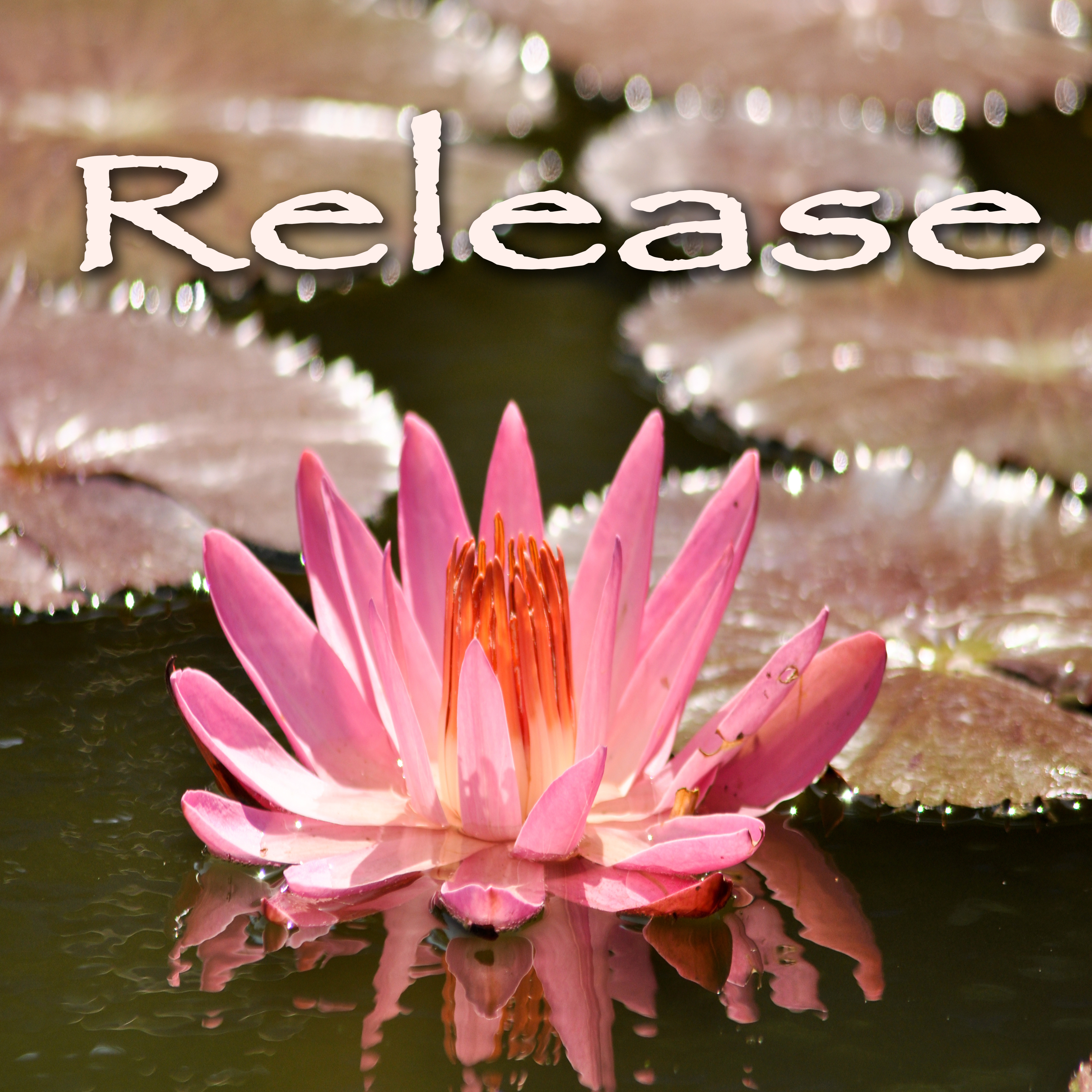 Release  Soothing Chakra Healing Music to Relax  Breathing Prana Flow