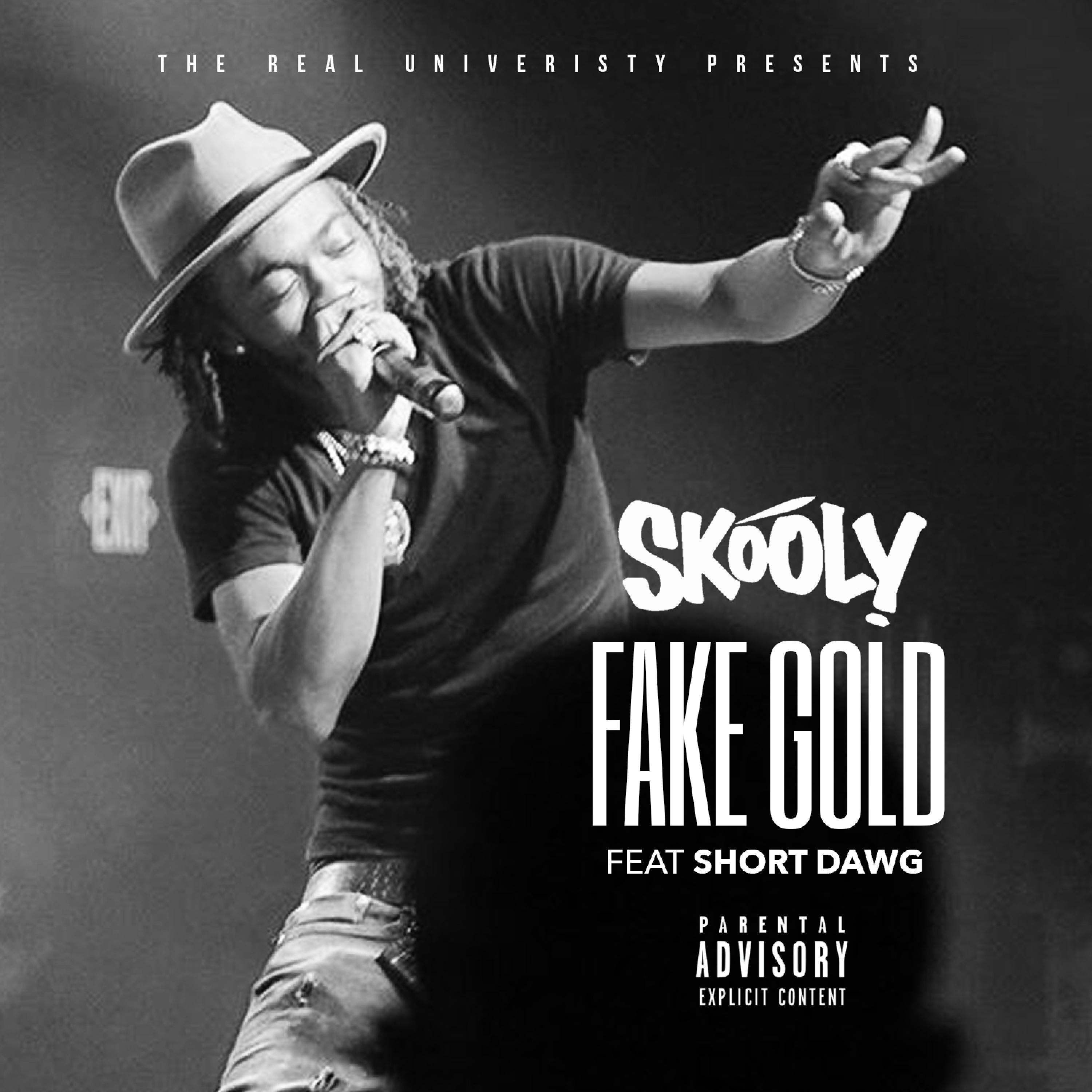 Fake Gold (feat. Short Dawg) - Single