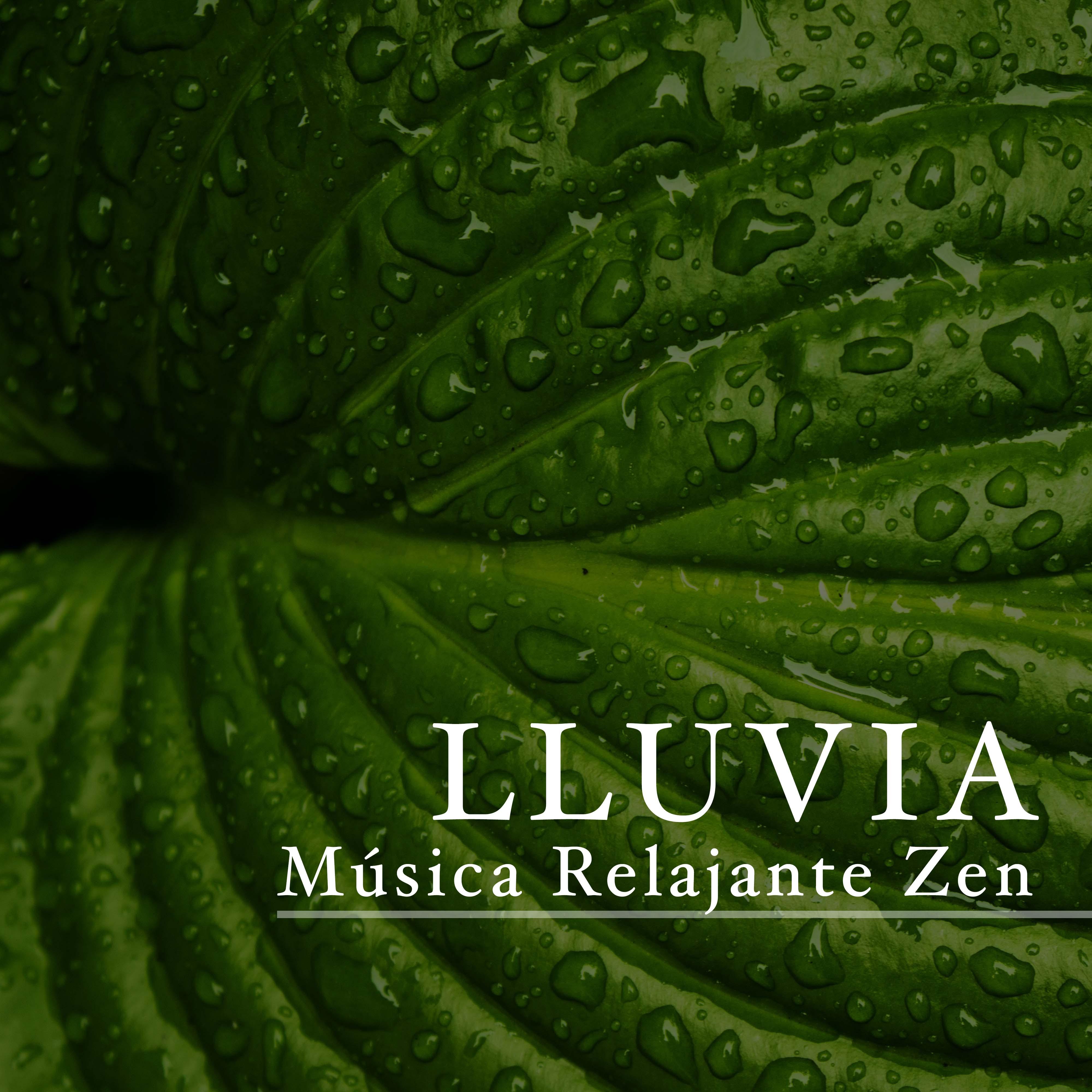 Lluvia: Musica Relajante Zen, Mu sica de Relajacion y Meditacio n