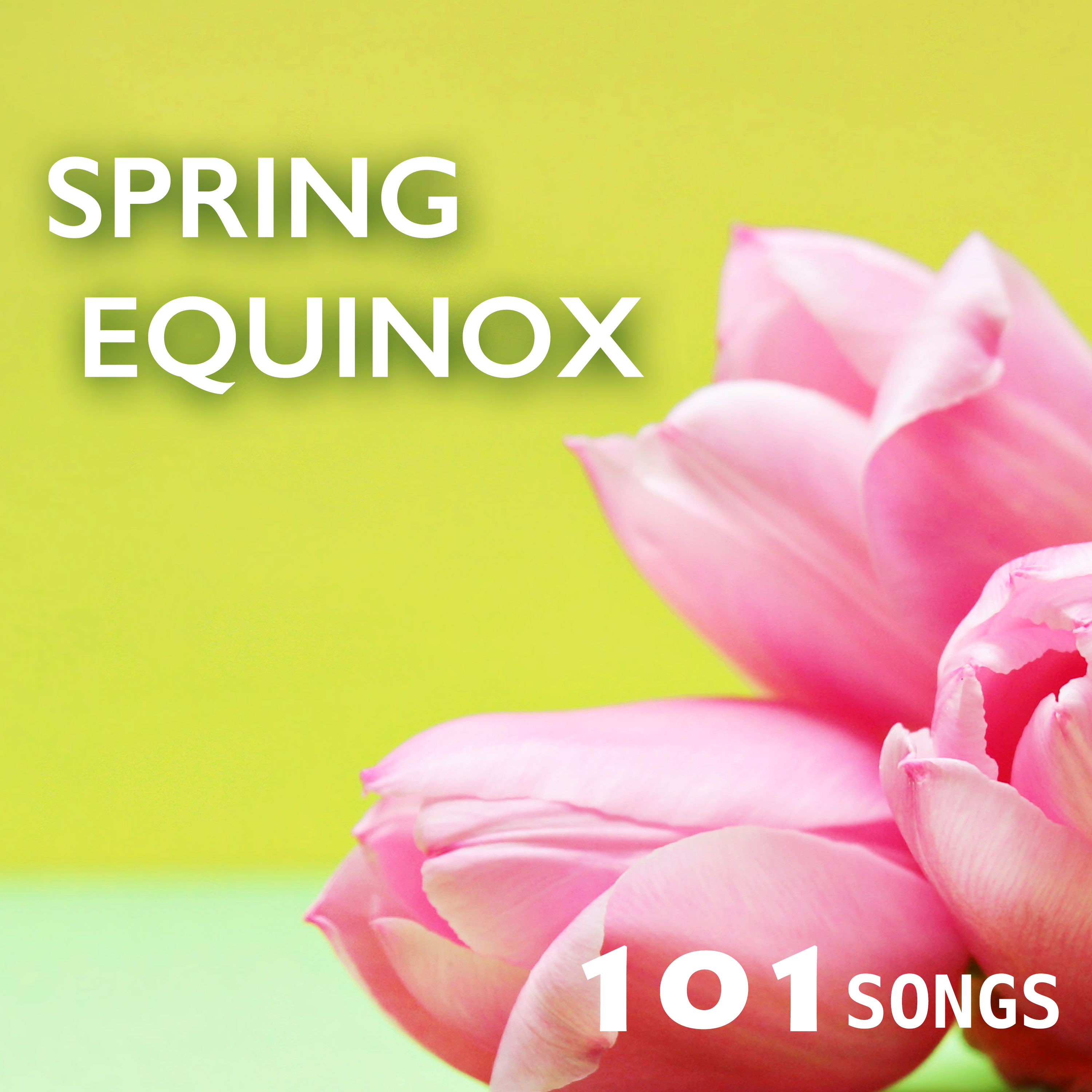 Spring Equinox 101 - Ambient Music for Change of Seasons, Sound Therapy to Reduce Stress