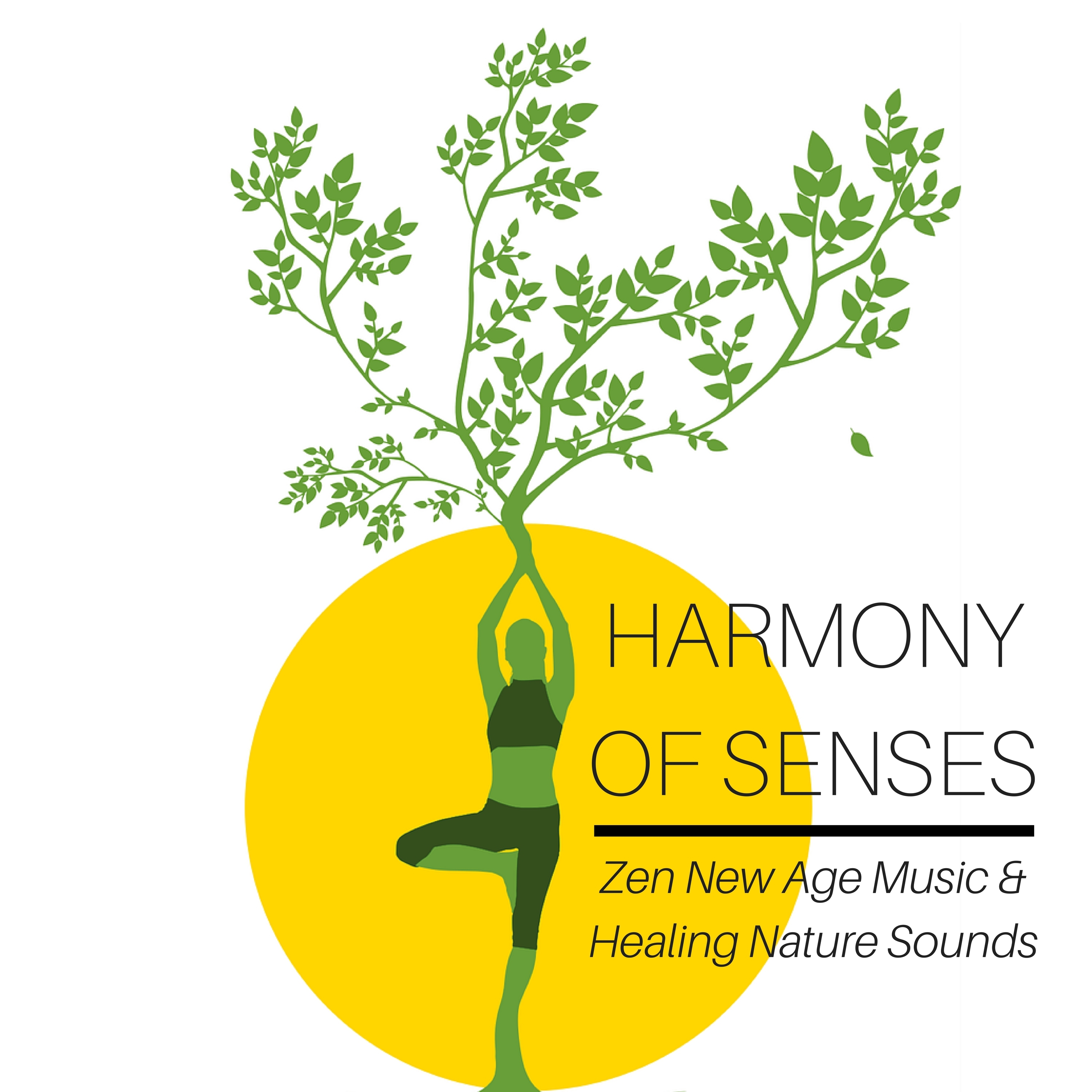 Harmony of Senses: Pure Relaxation for Spa, Massage, Meditation, Yoga, Reiki, Sleep and Study, Zen New Age Music & Healing Nature Sounds