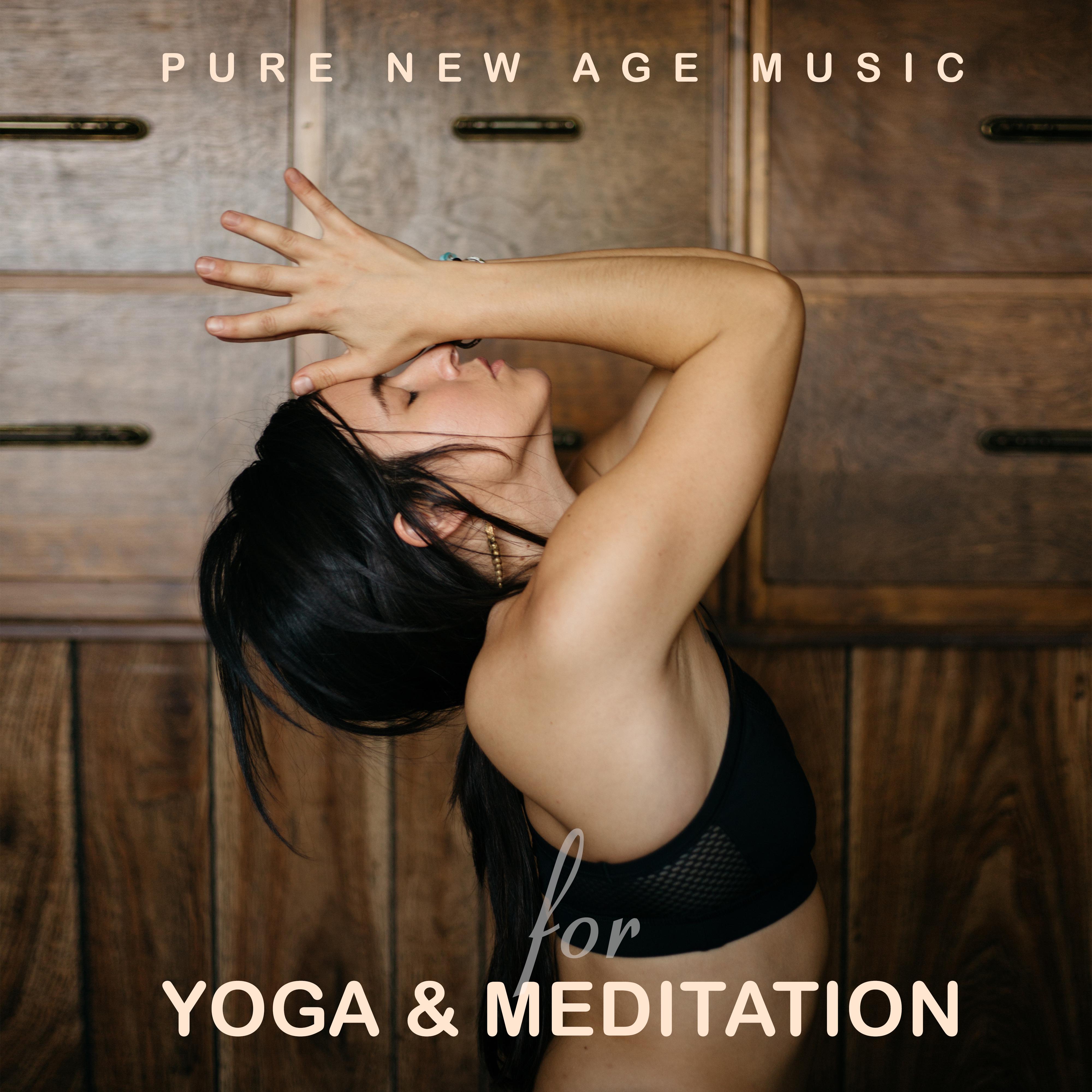 Pure New Age Music for Yoga  Meditation  Cosmic Sounds  Nature Noises for Perfect Body  Mind Relax