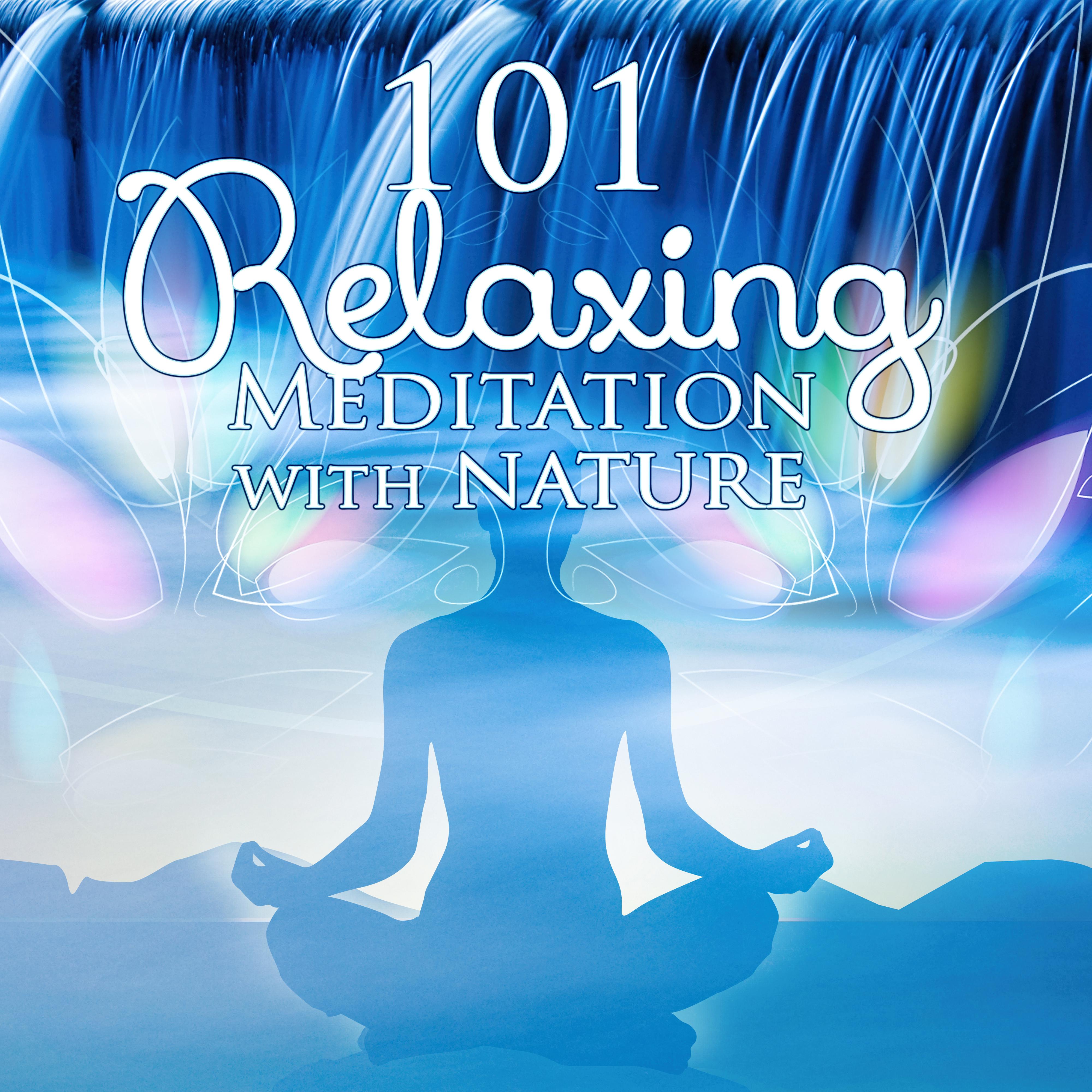 101 Relaxing Meditation with Nature  Zen Tracks, Asian Music, Healing Spirituality, Nature Sounds, Yoga, Spa, Soothe Music Therapy